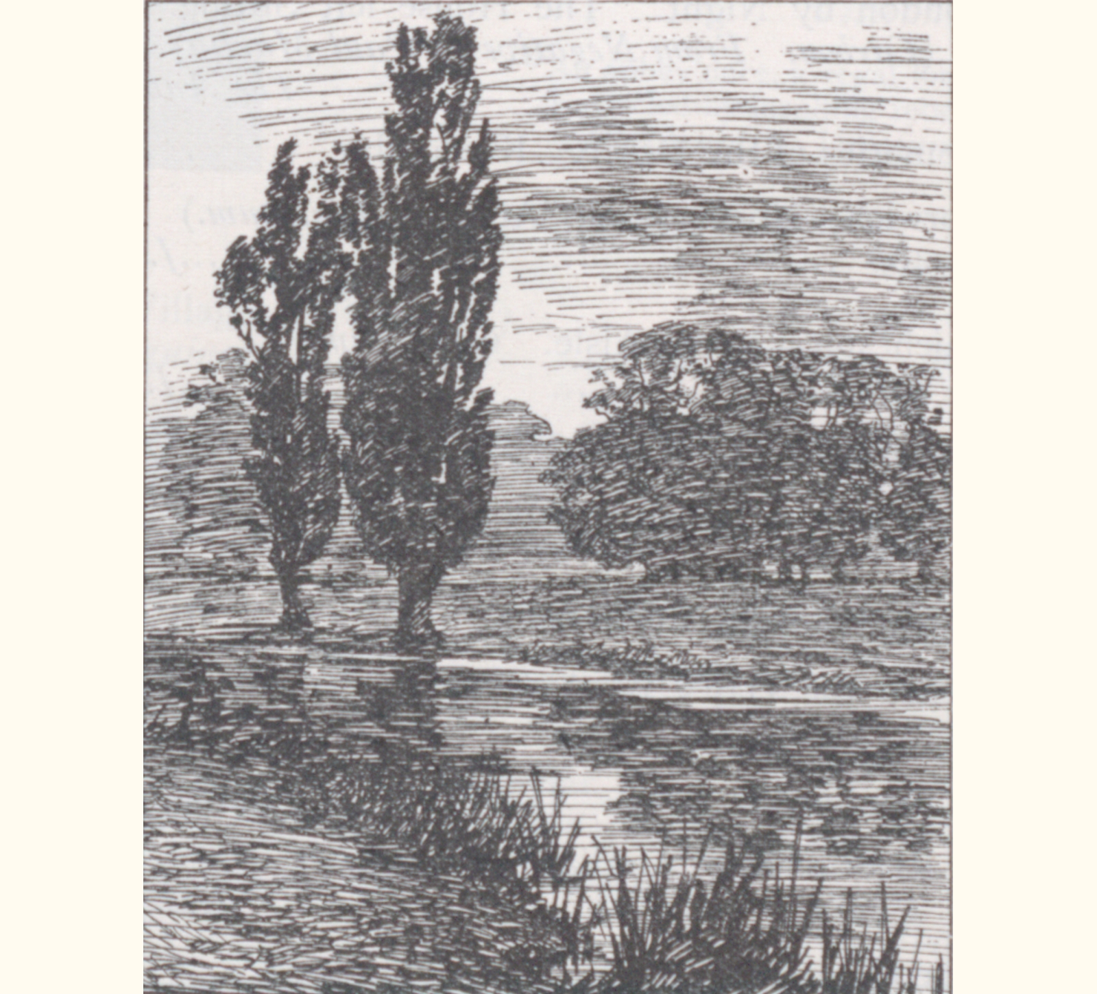 1896 Forty-first Annual Exhibition of the Royal Photographic Society