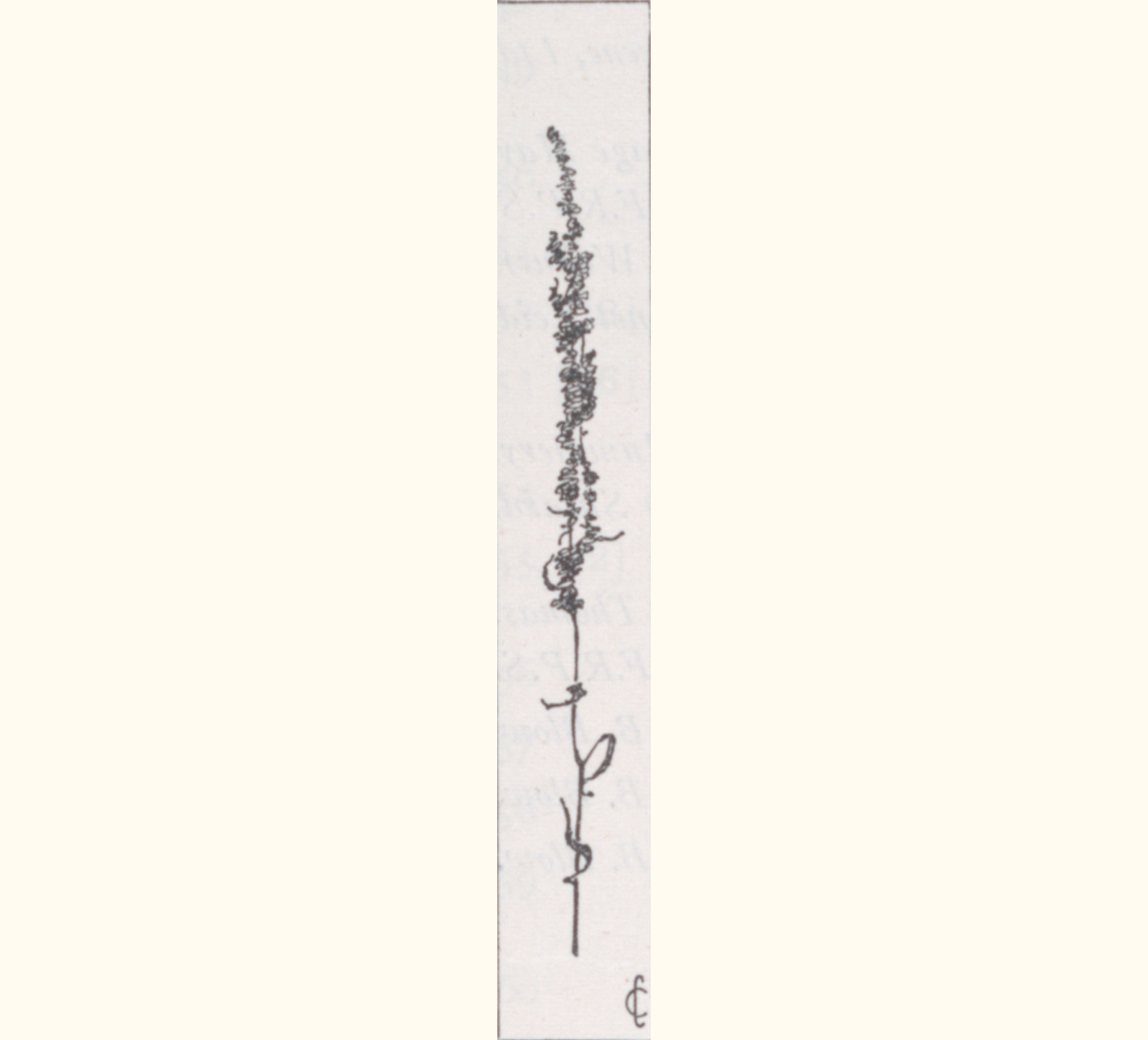 1896 Forty-first Annual Exhibition of the Royal Photographic Society