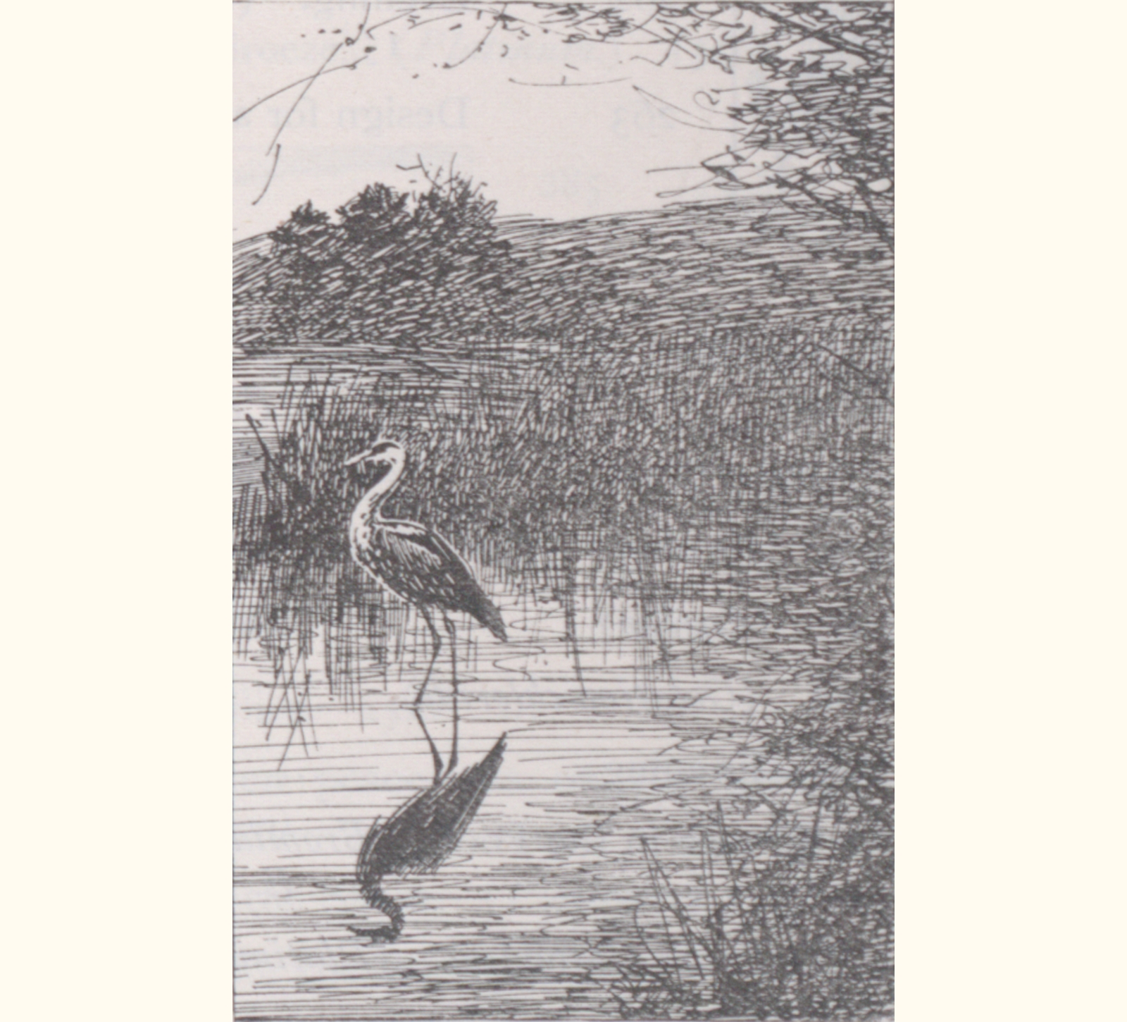 1896 Forty-first Annual Exhibition of the Royal Photographic Society