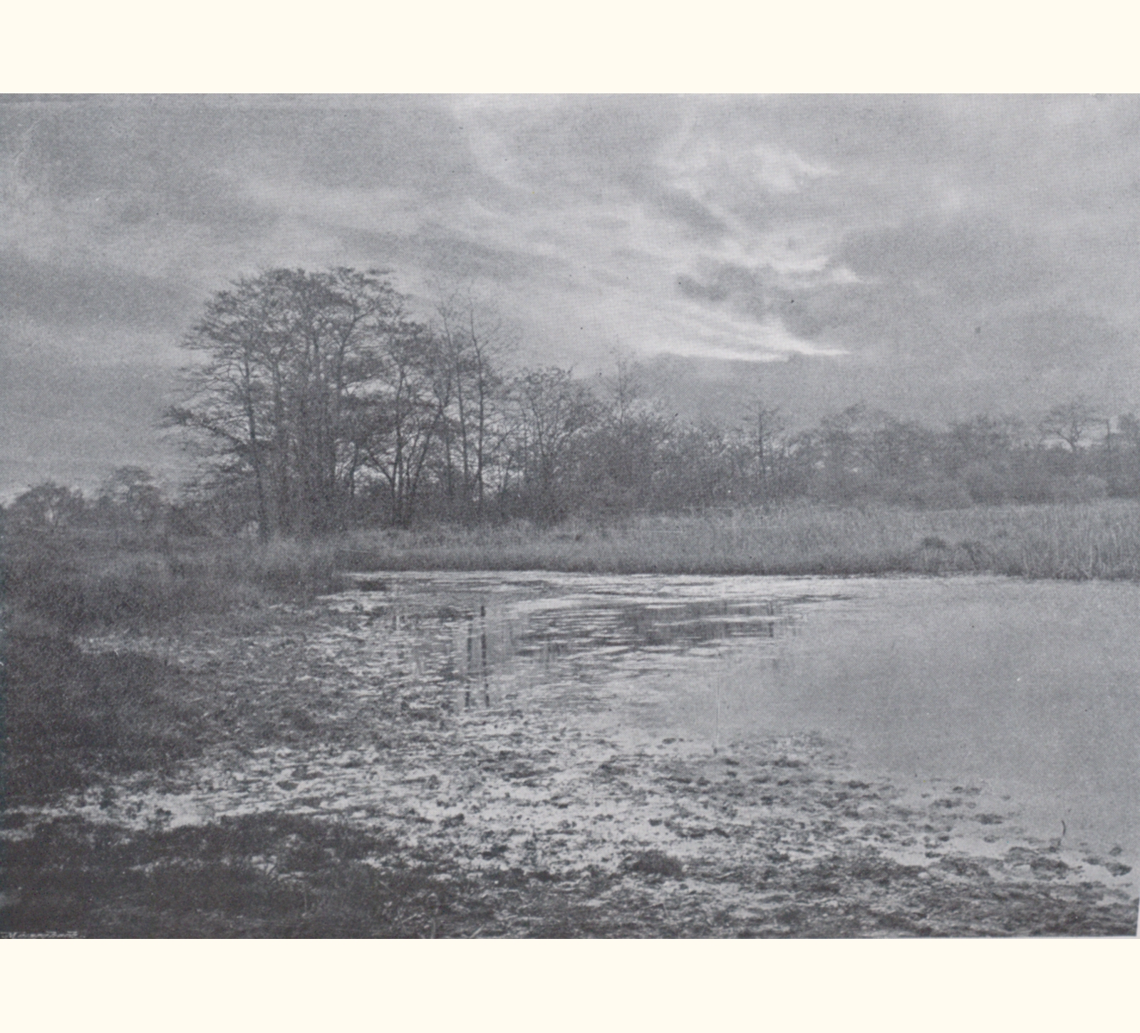 1896 Forty-first Annual Exhibition of the Royal Photographic Society
