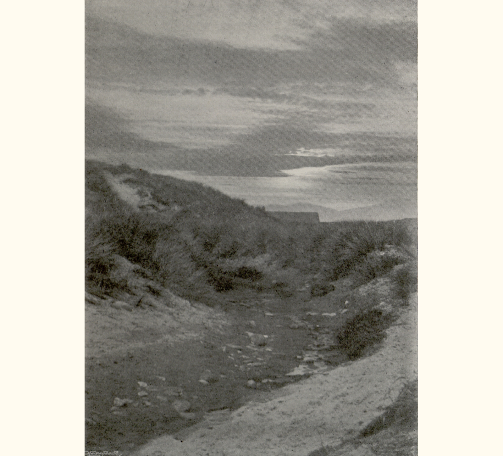 1896 Forty-first Annual Exhibition of the Royal Photographic Society