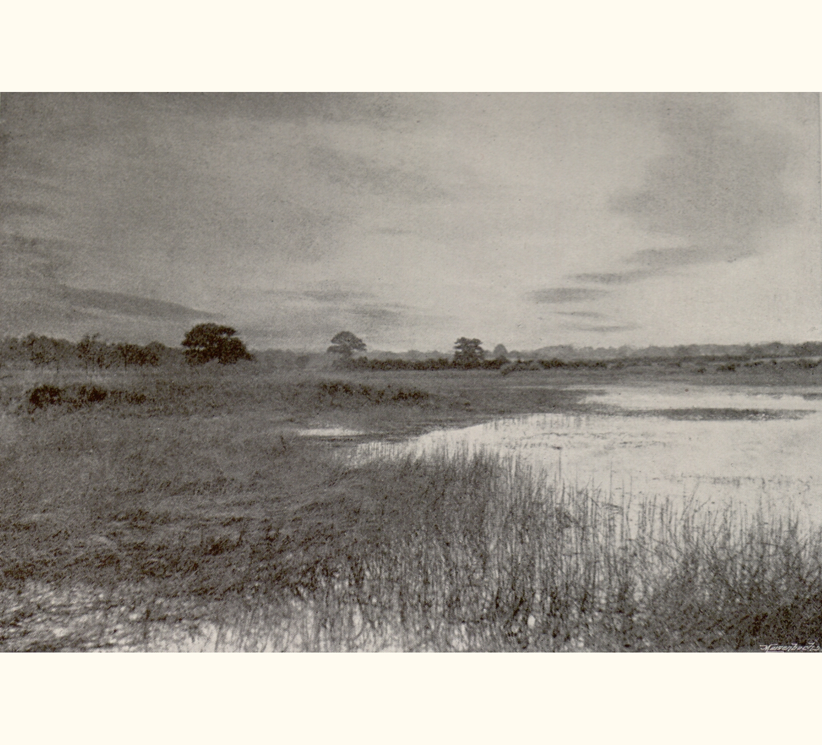 1896 Forty-first Annual Exhibition of the Royal Photographic Society