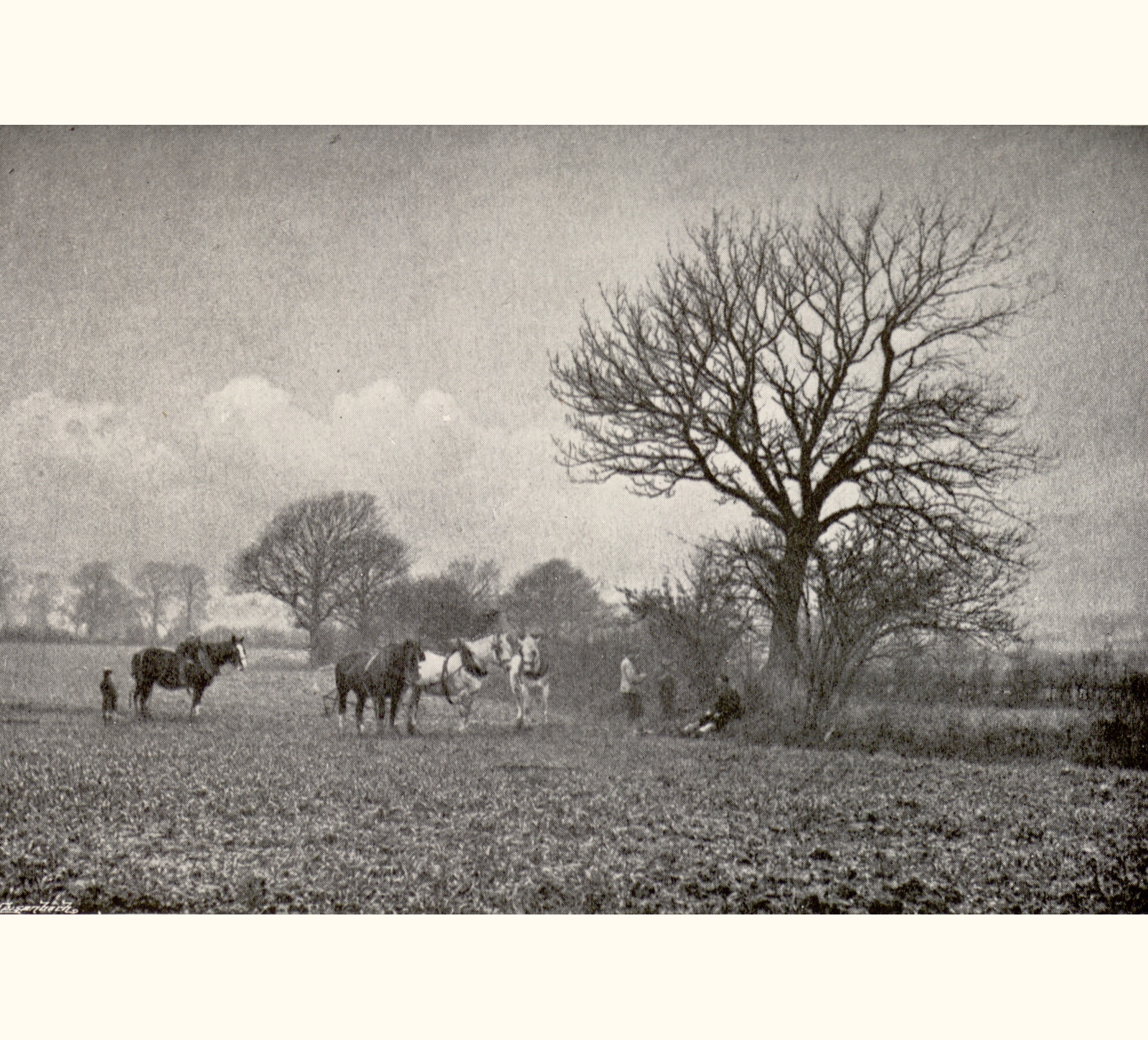 1896 Forty-first Annual Exhibition of the Royal Photographic Society