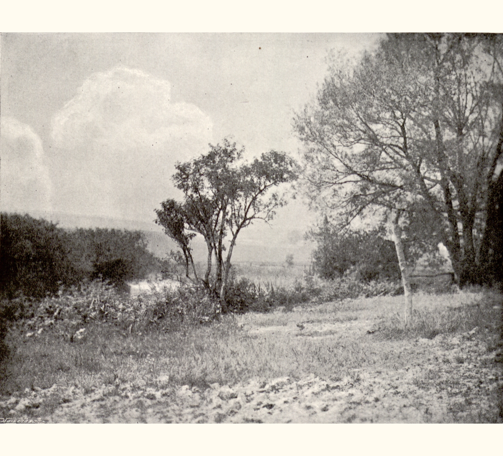 1896 Forty-first Annual Exhibition of the Royal Photographic Society