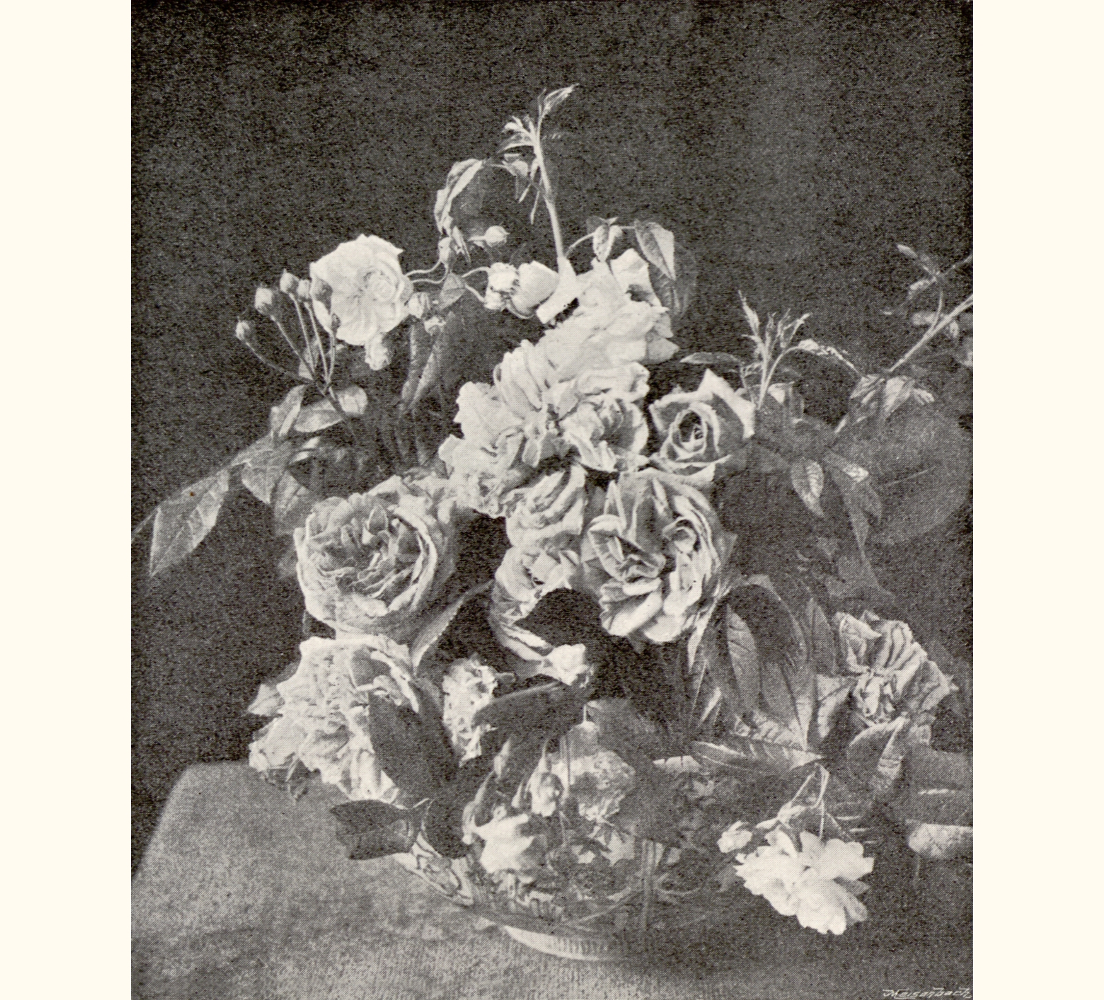 1896 Forty-first Annual Exhibition of the Royal Photographic Society