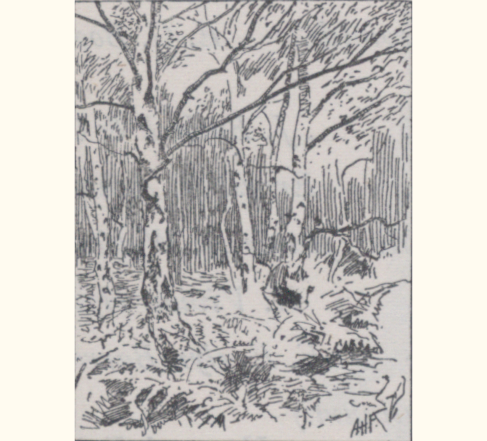 1897 Forty-second Annual Exhibition of the Royal Photographic Society
