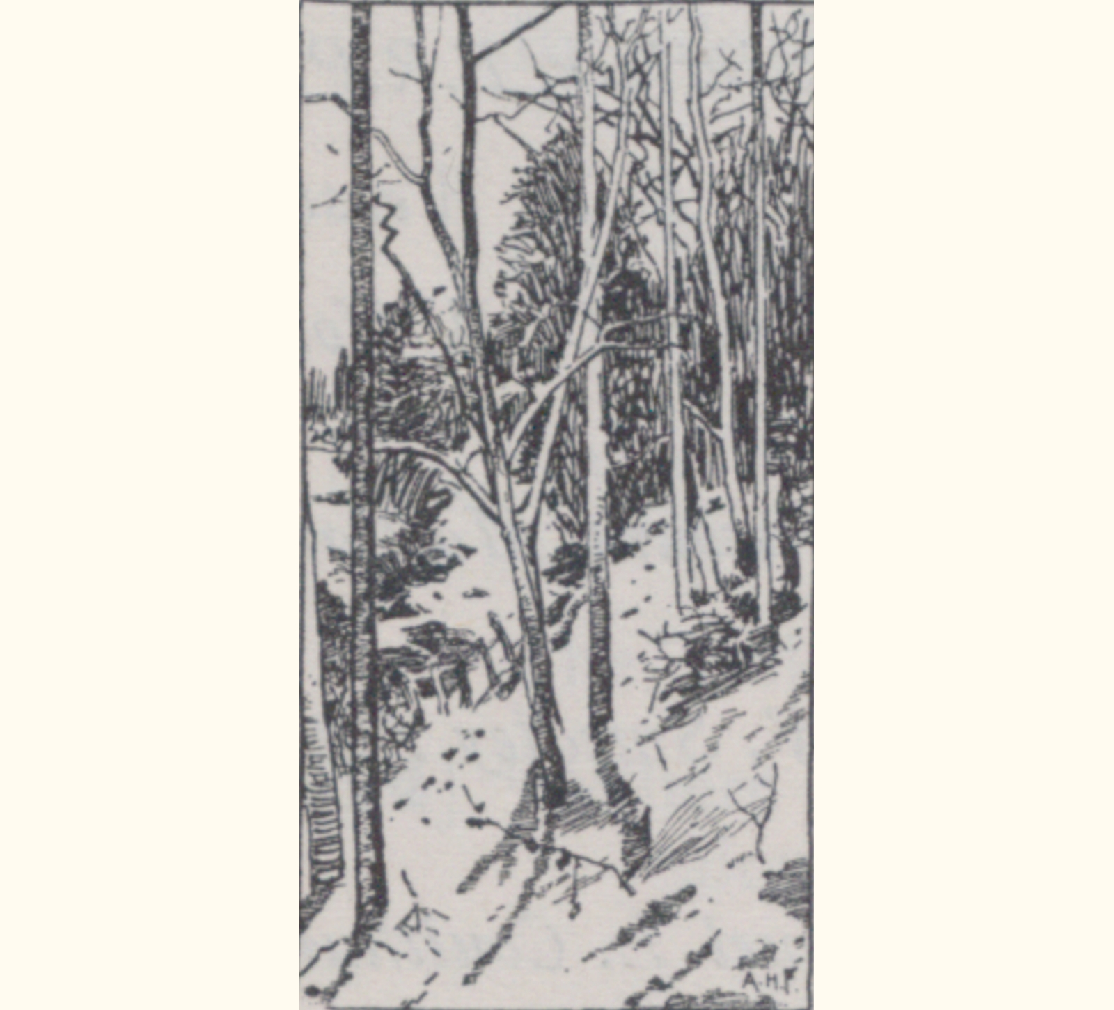 1897 Forty-second Annual Exhibition of the Royal Photographic Society