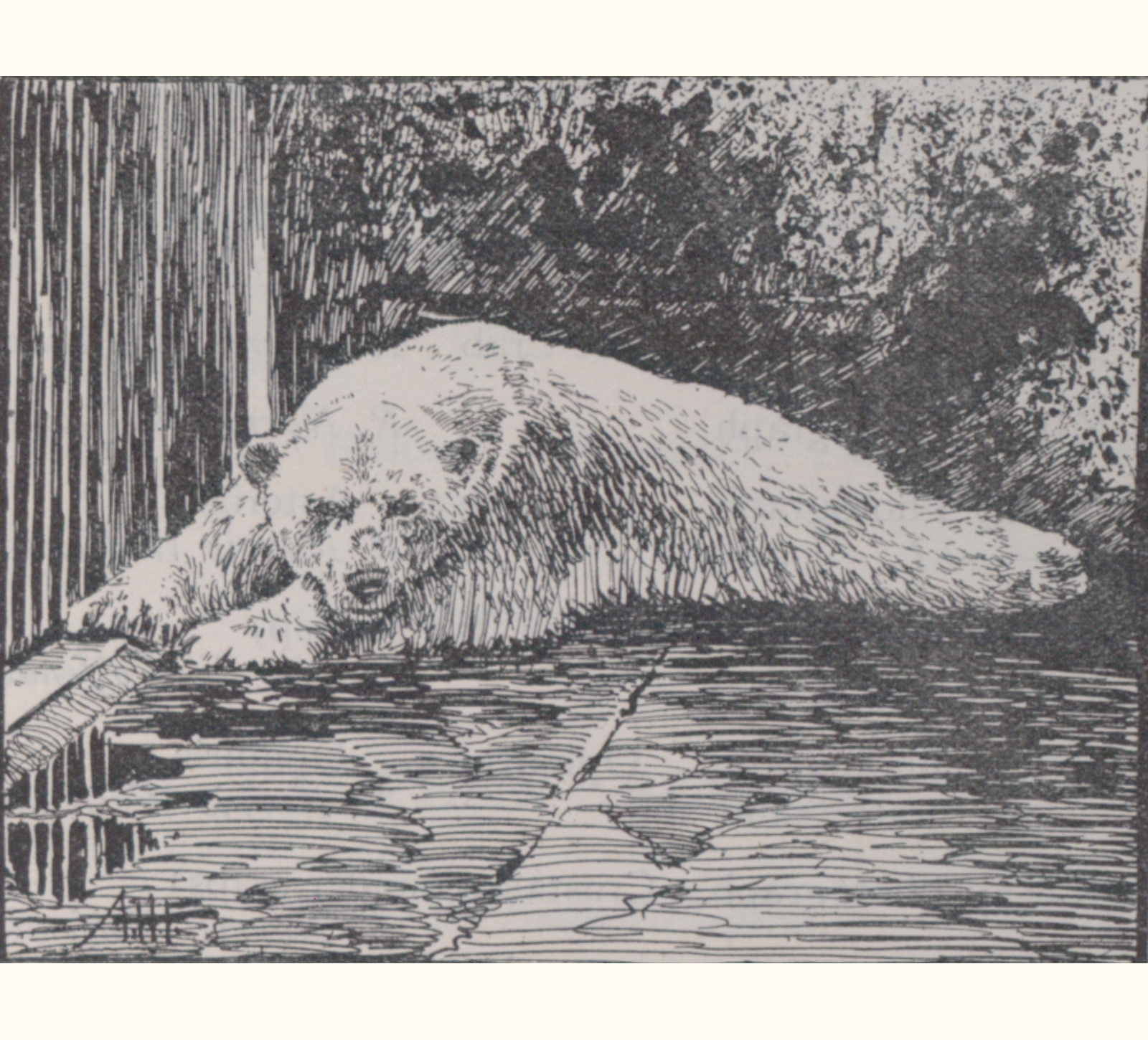 1897 Forty-second Annual Exhibition of the Royal Photographic Society