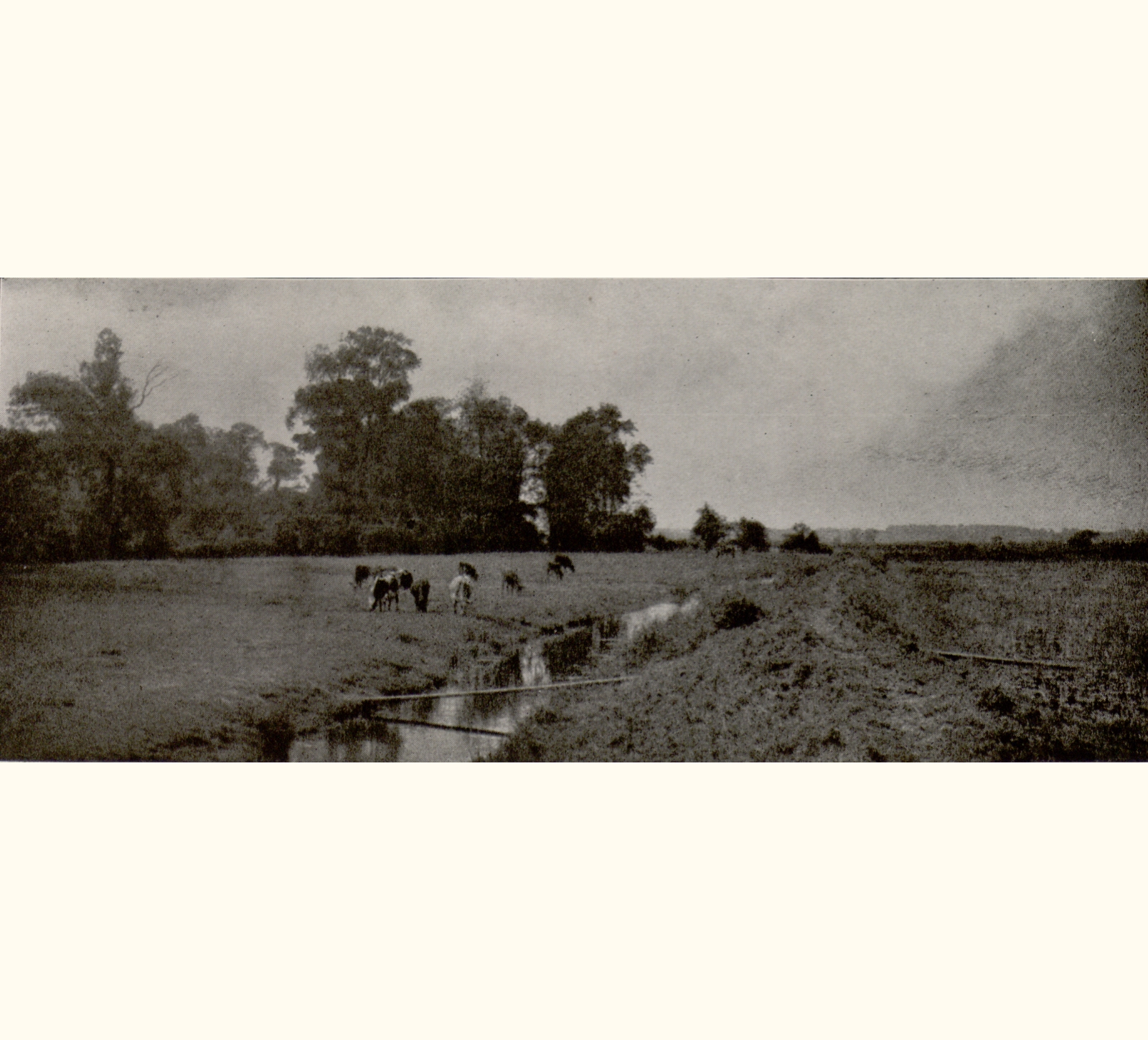 1897 Forty-second Annual Exhibition of the Royal Photographic Society