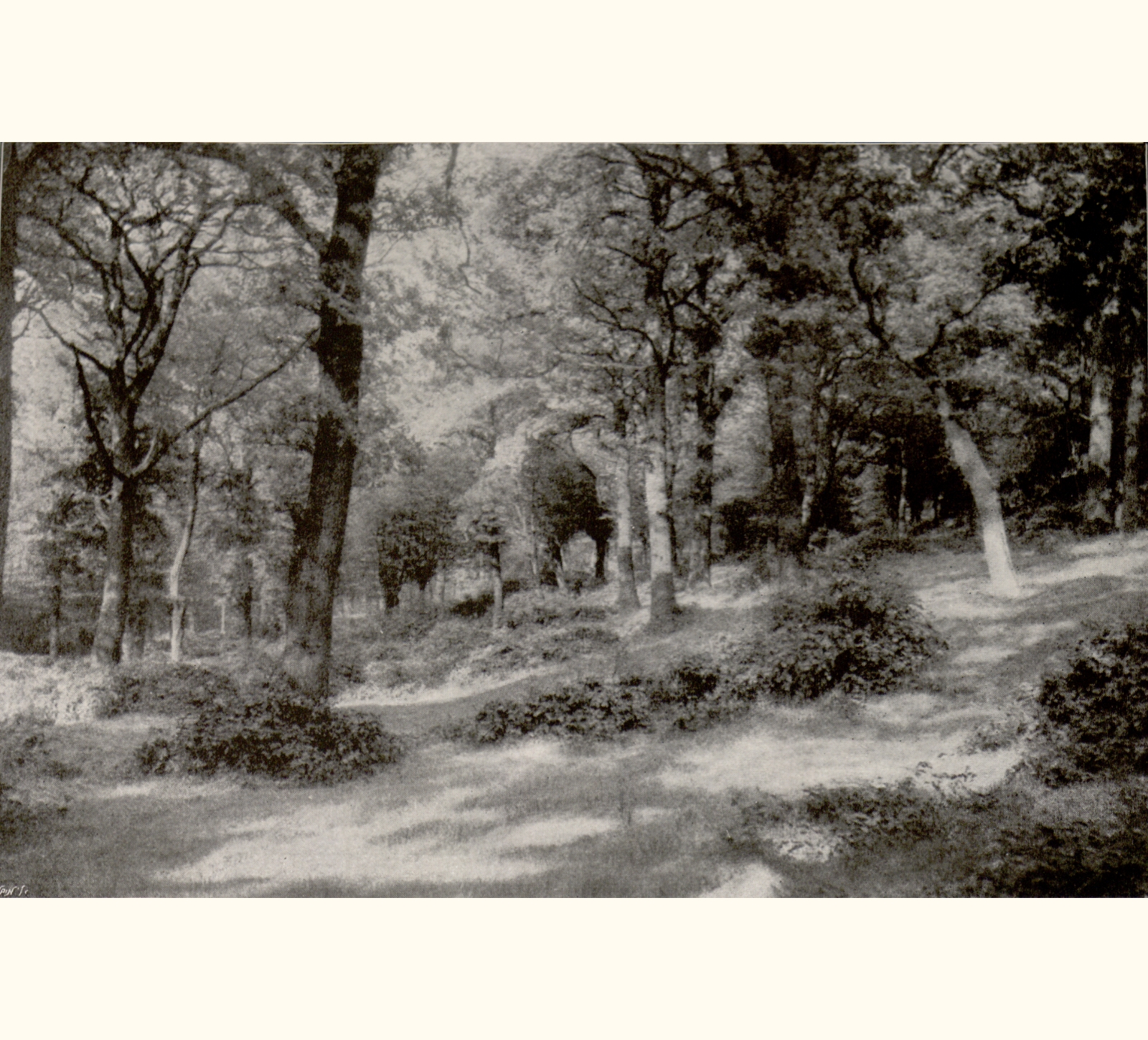 1897 Forty-second Annual Exhibition of the Royal Photographic Society