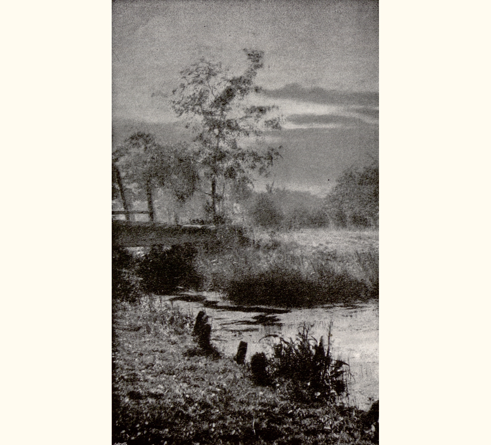 1897 Forty-second Annual Exhibition of the Royal Photographic Society
