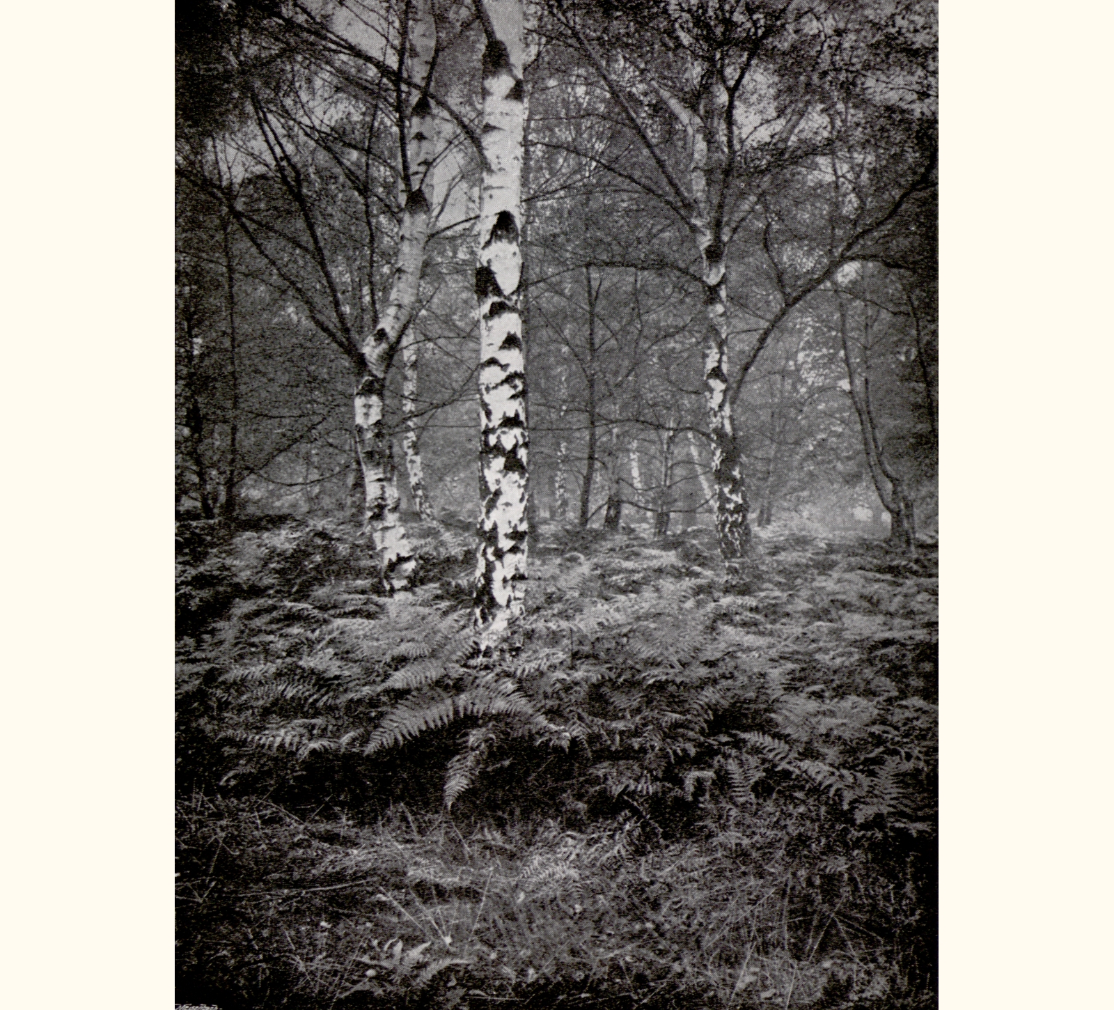 1898 Forty-third Annual Exhibition of the Royal Photographic Society