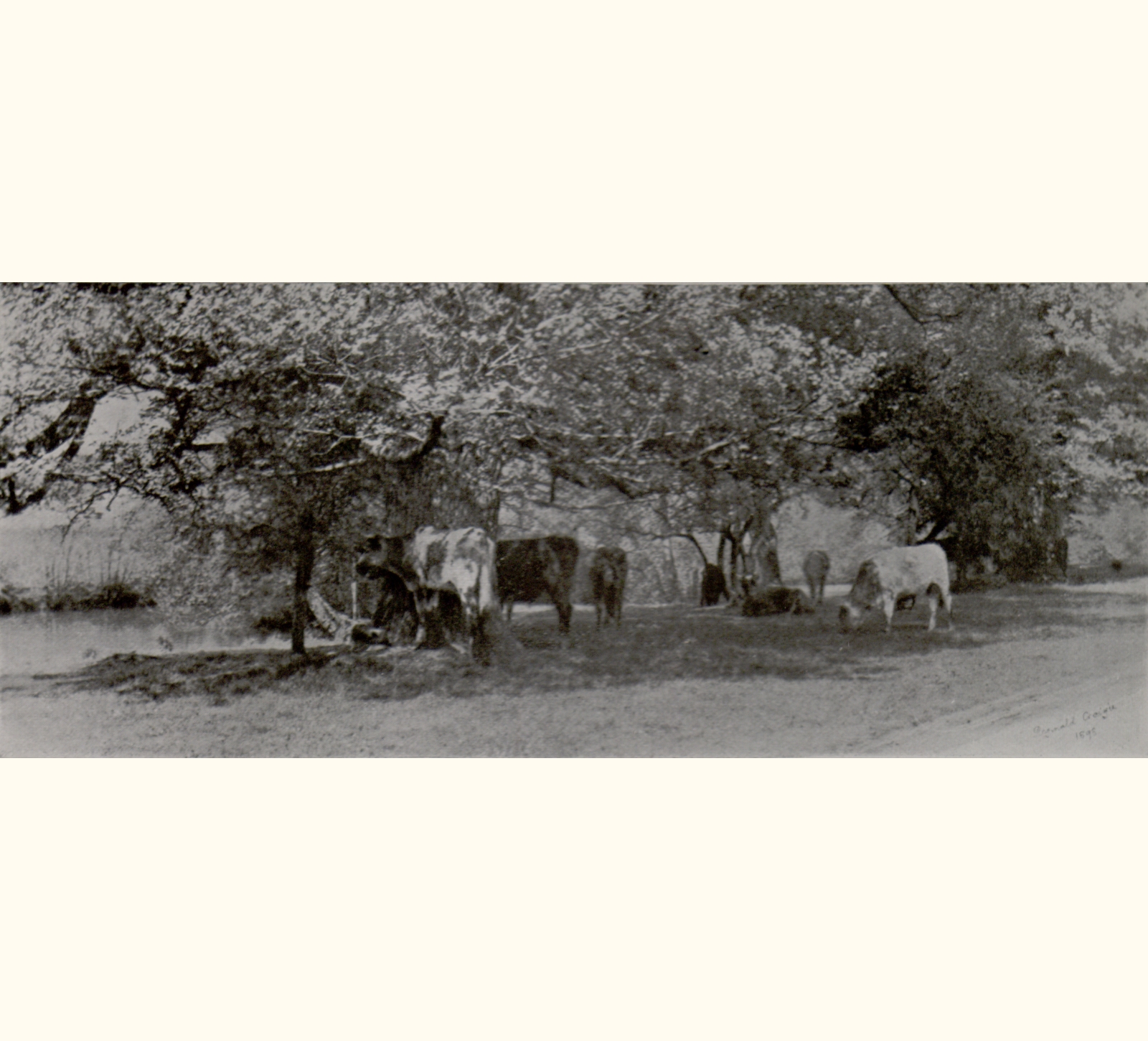 1898 Forty-third Annual Exhibition of the Royal Photographic Society
