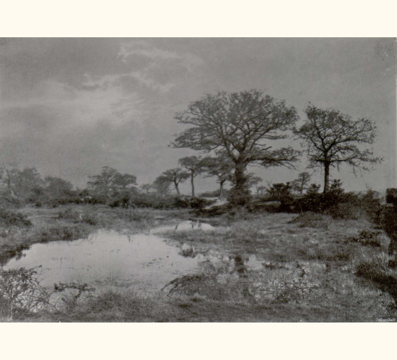 1898 Forty-third Annual Exhibition of the Royal Photographic Society