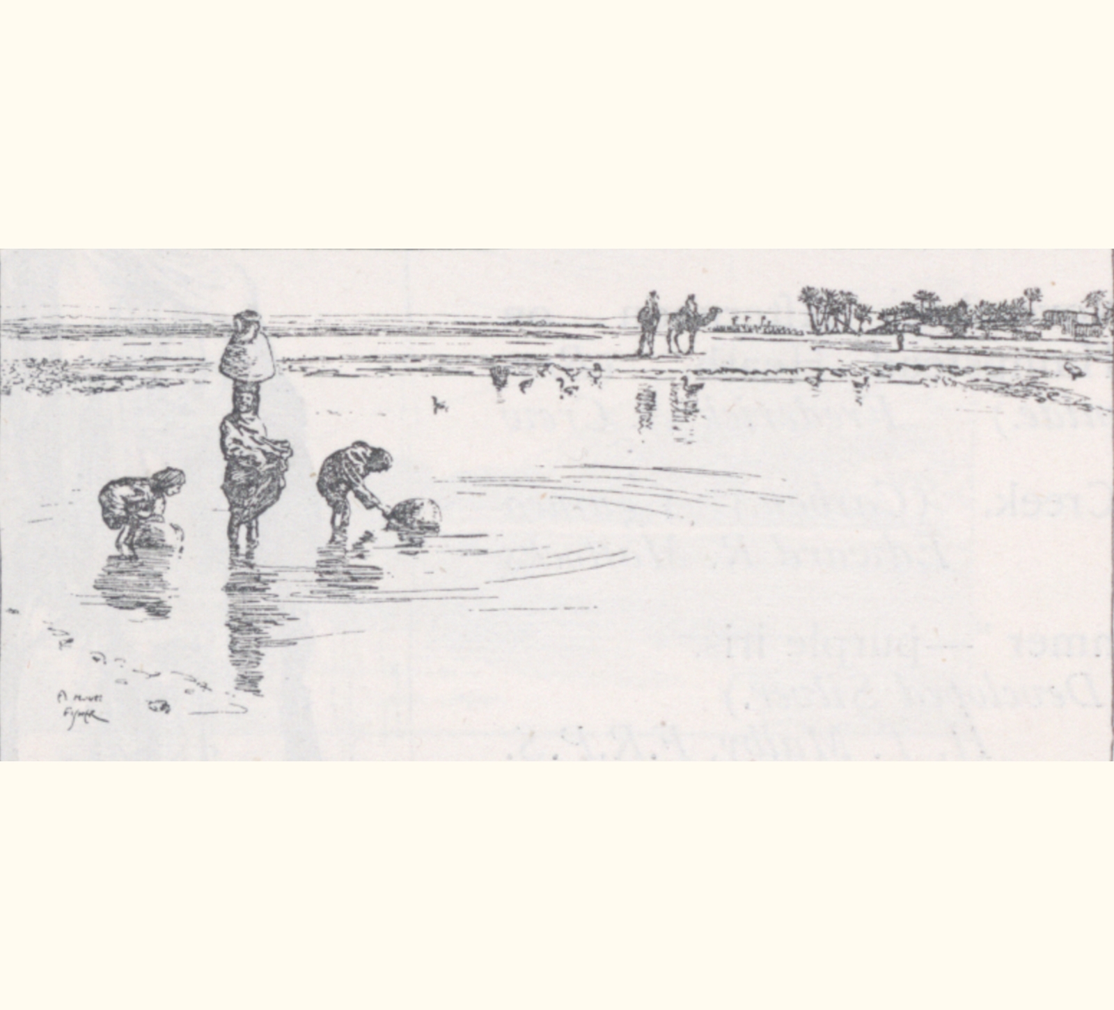 1899 Forty-fourth Annual Exhibition of the Royal Photographic Society