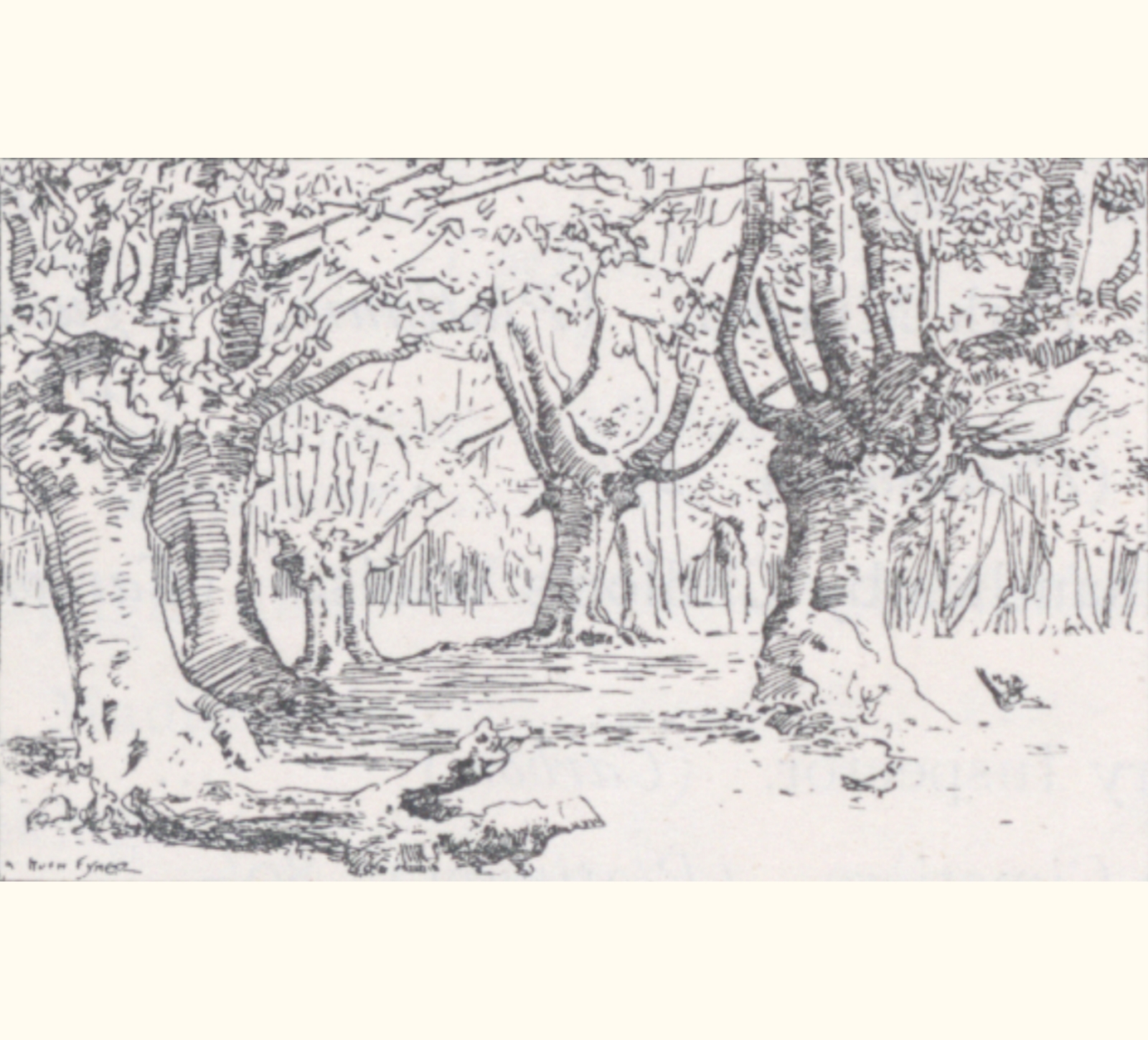 1899 Forty-fourth Annual Exhibition of the Royal Photographic Society