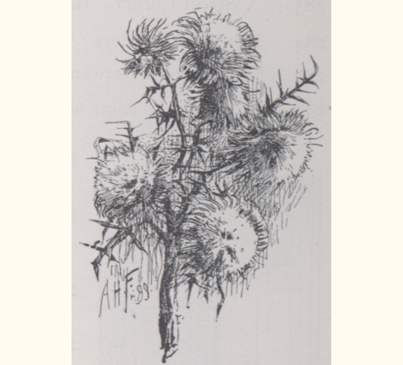 1899 Forty-fourth Annual Exhibition of the Royal Photographic Society