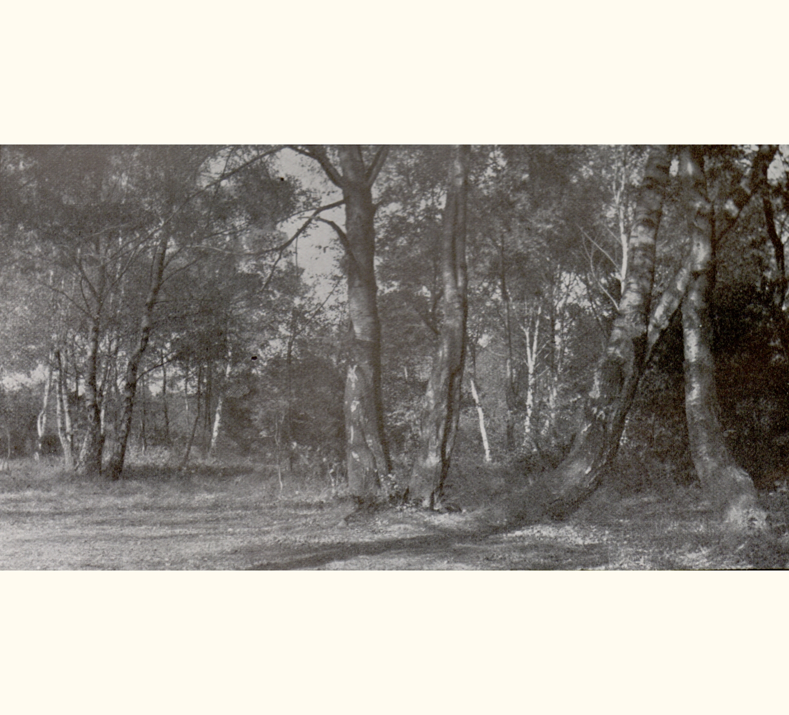 1899 Forty-fourth Annual Exhibition of the Royal Photographic Society