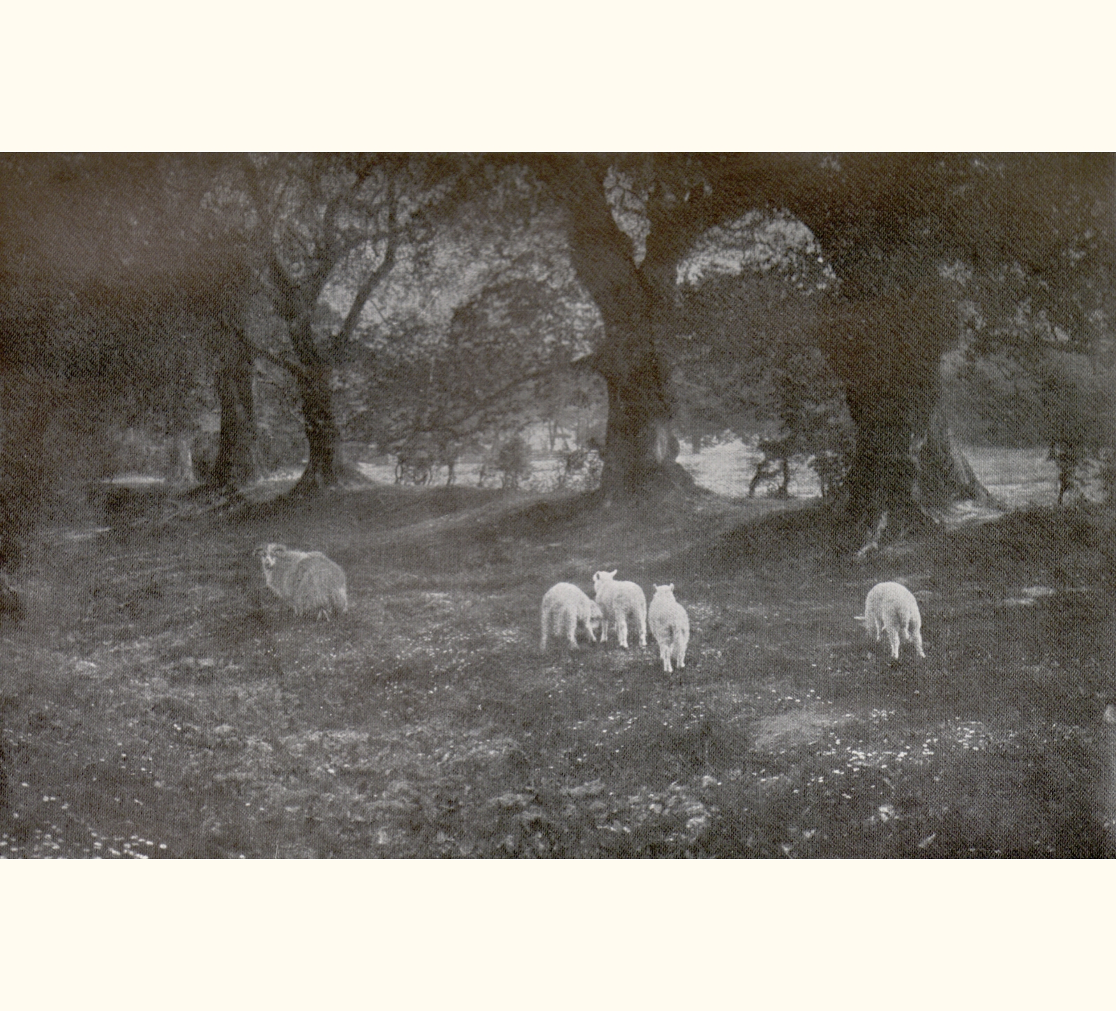 1899 Forty-fourth Annual Exhibition of the Royal Photographic Society