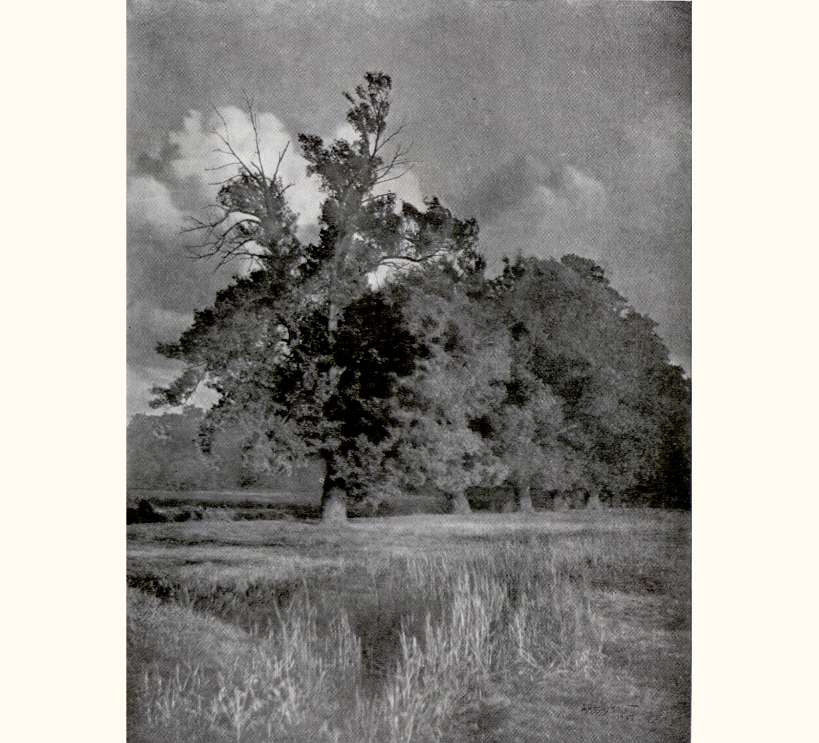 1899 Forty-fourth Annual Exhibition of the Royal Photographic Society