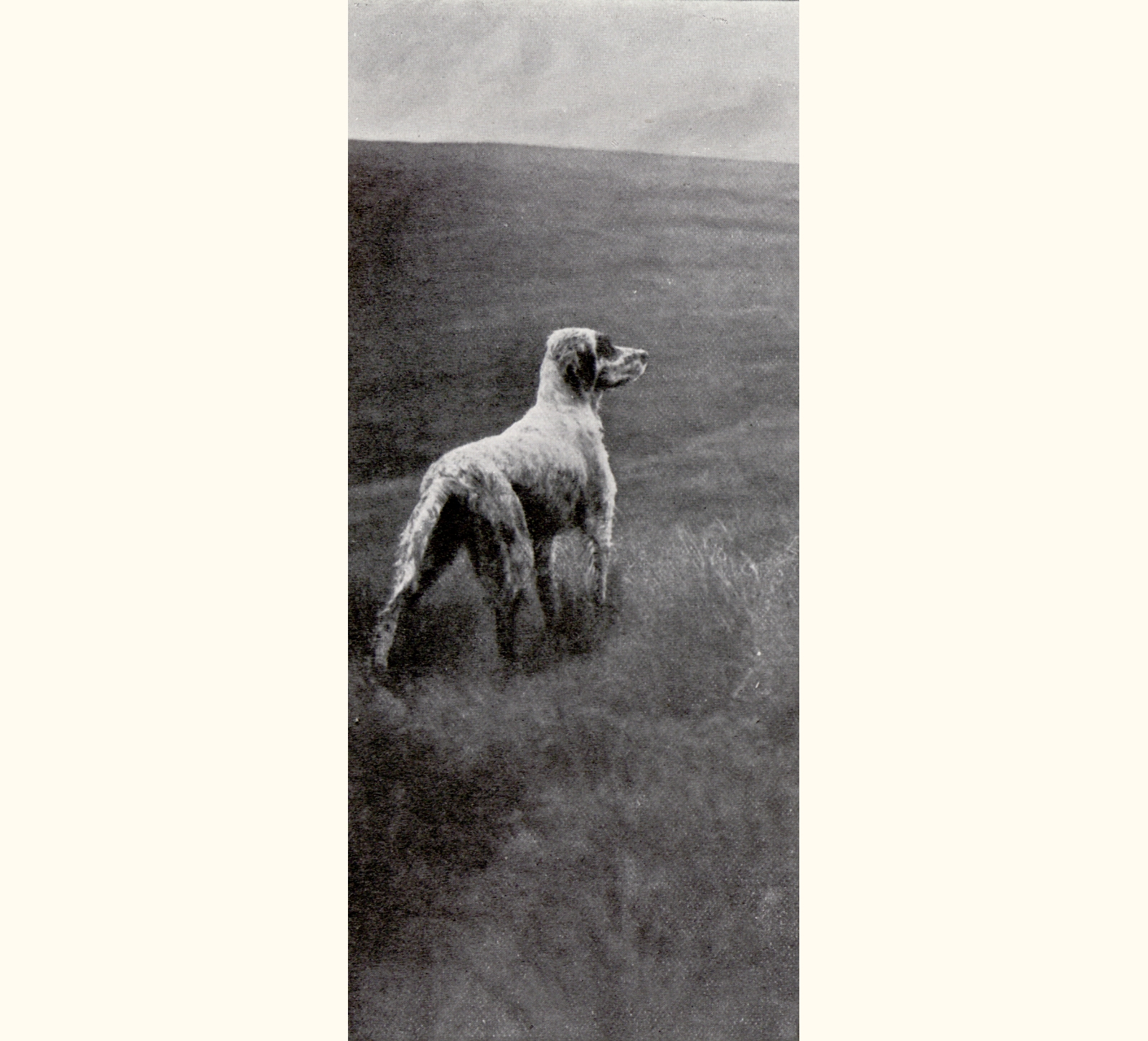 1899 Forty-fourth Annual Exhibition of the Royal Photographic Society