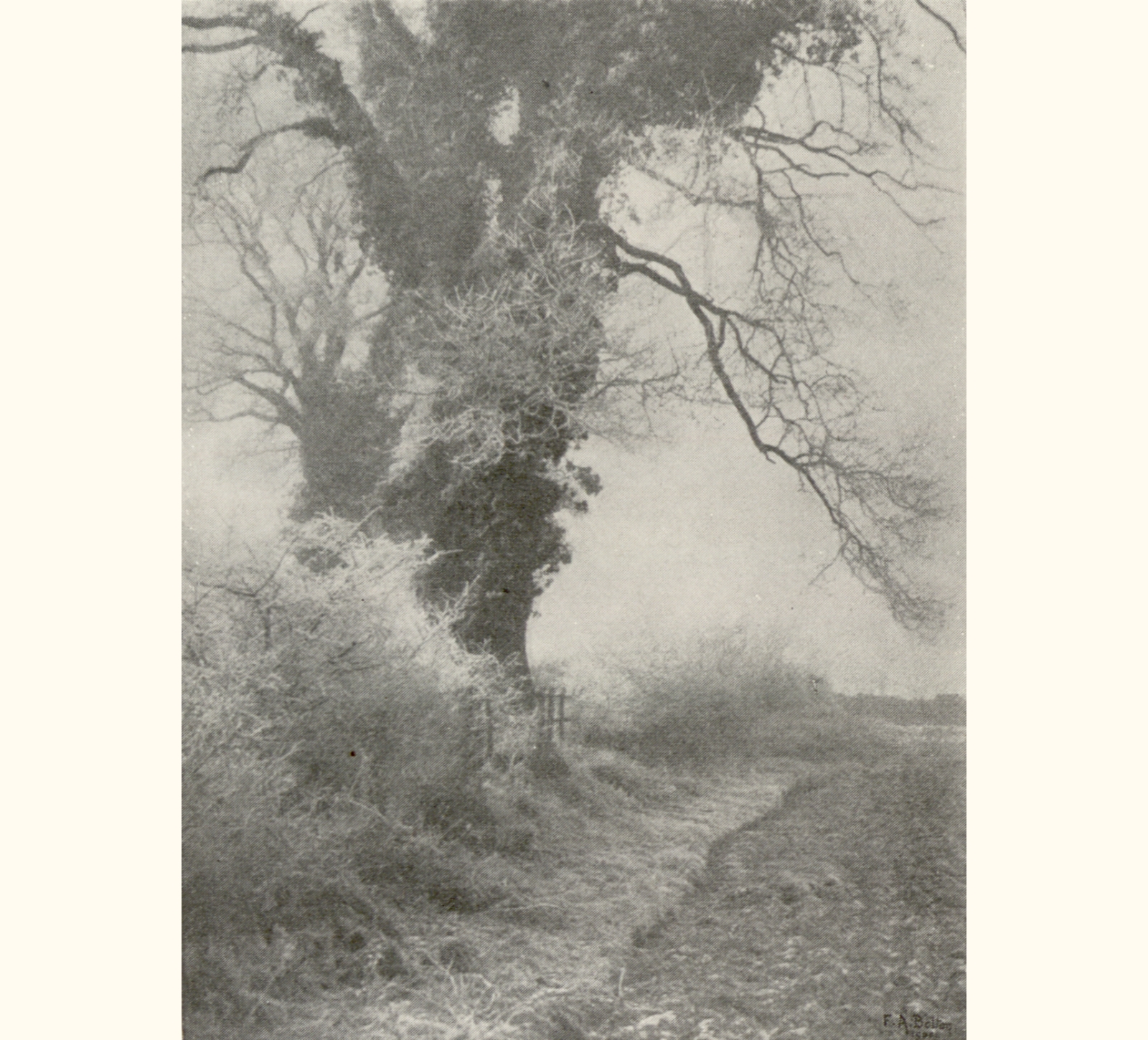 1900 Forty-fifth Annual Exhibition of the Royal Photographic Society