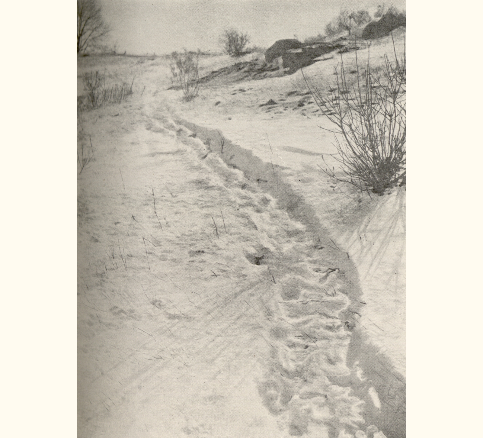 1900 Forty-fifth Annual Exhibition of the Royal Photographic Society