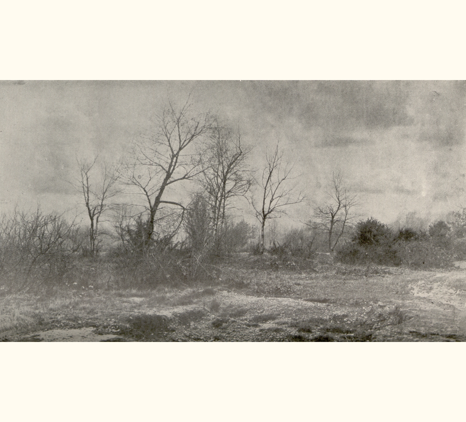 1900 Forty-fifth Annual Exhibition of the Royal Photographic Society