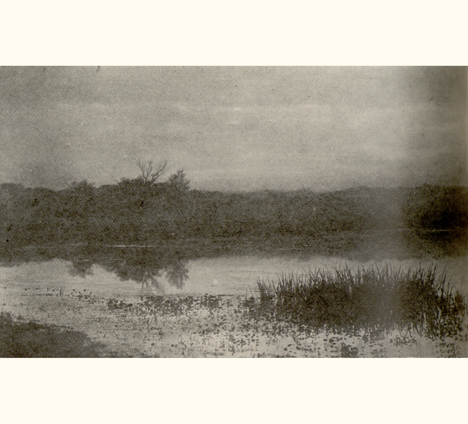 1901 Forty-sixth Annual Exhibition of the Royal Photographic Society