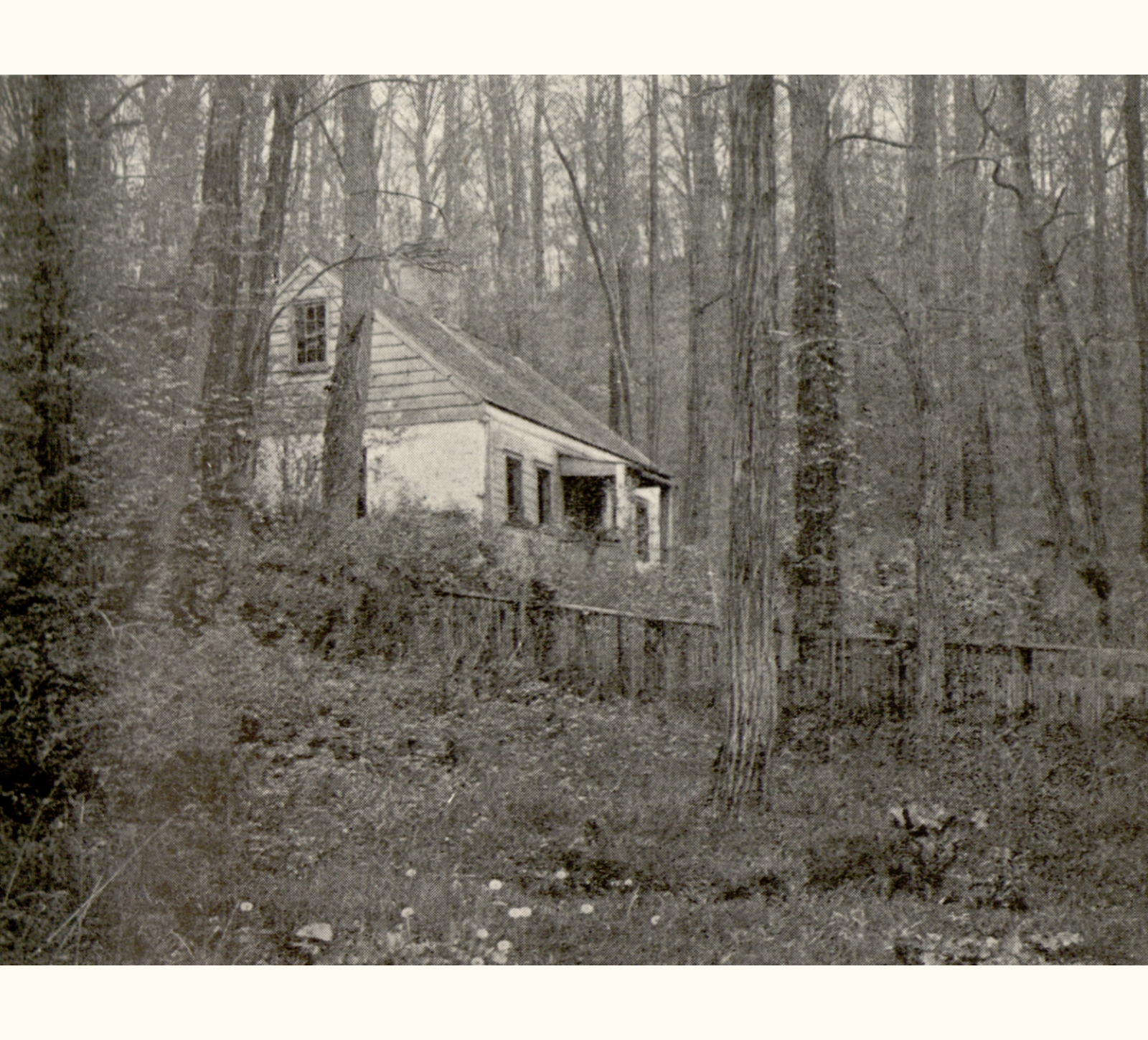 1901 Forty-sixth Annual Exhibition of the Royal Photographic Society
