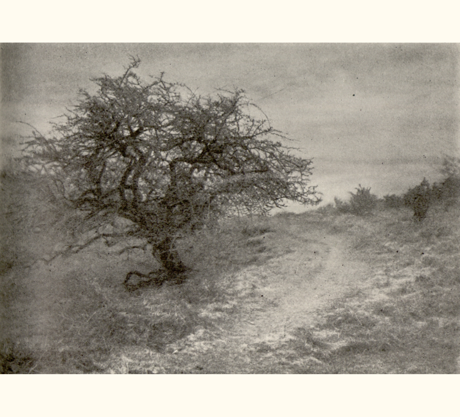 1901 Forty-sixth Annual Exhibition of the Royal Photographic Society