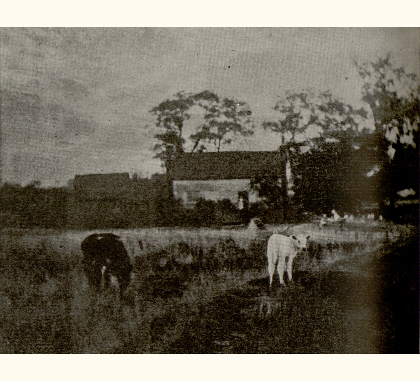1901 Forty-sixth Annual Exhibition of the Royal Photographic Society