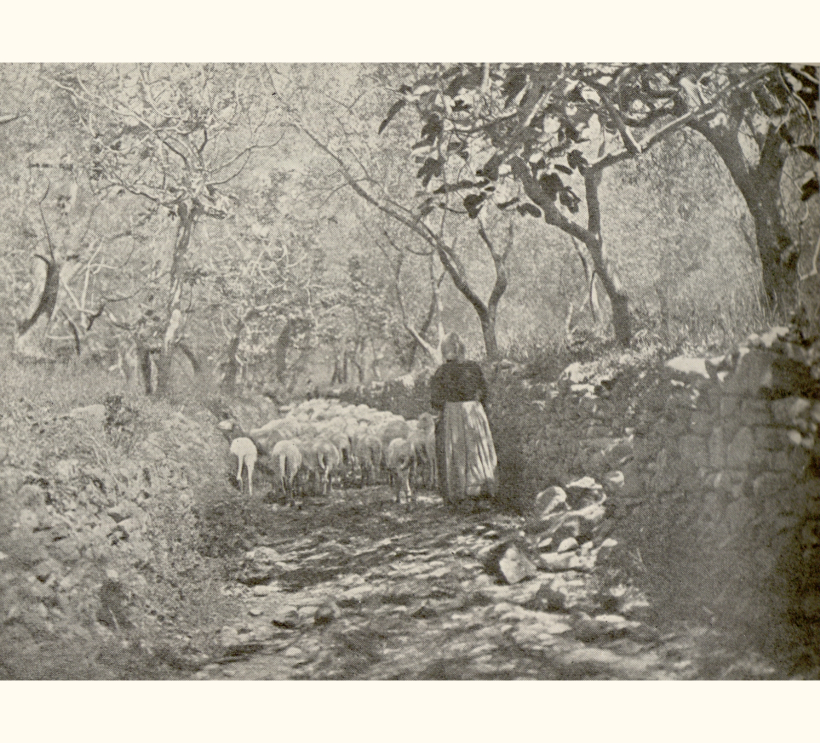 1901 Forty-sixth Annual Exhibition of the Royal Photographic Society