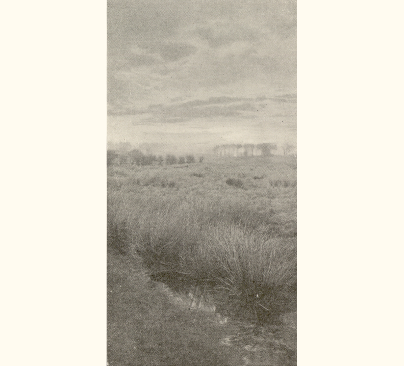 1901 Forty-sixth Annual Exhibition of the Royal Photographic Society