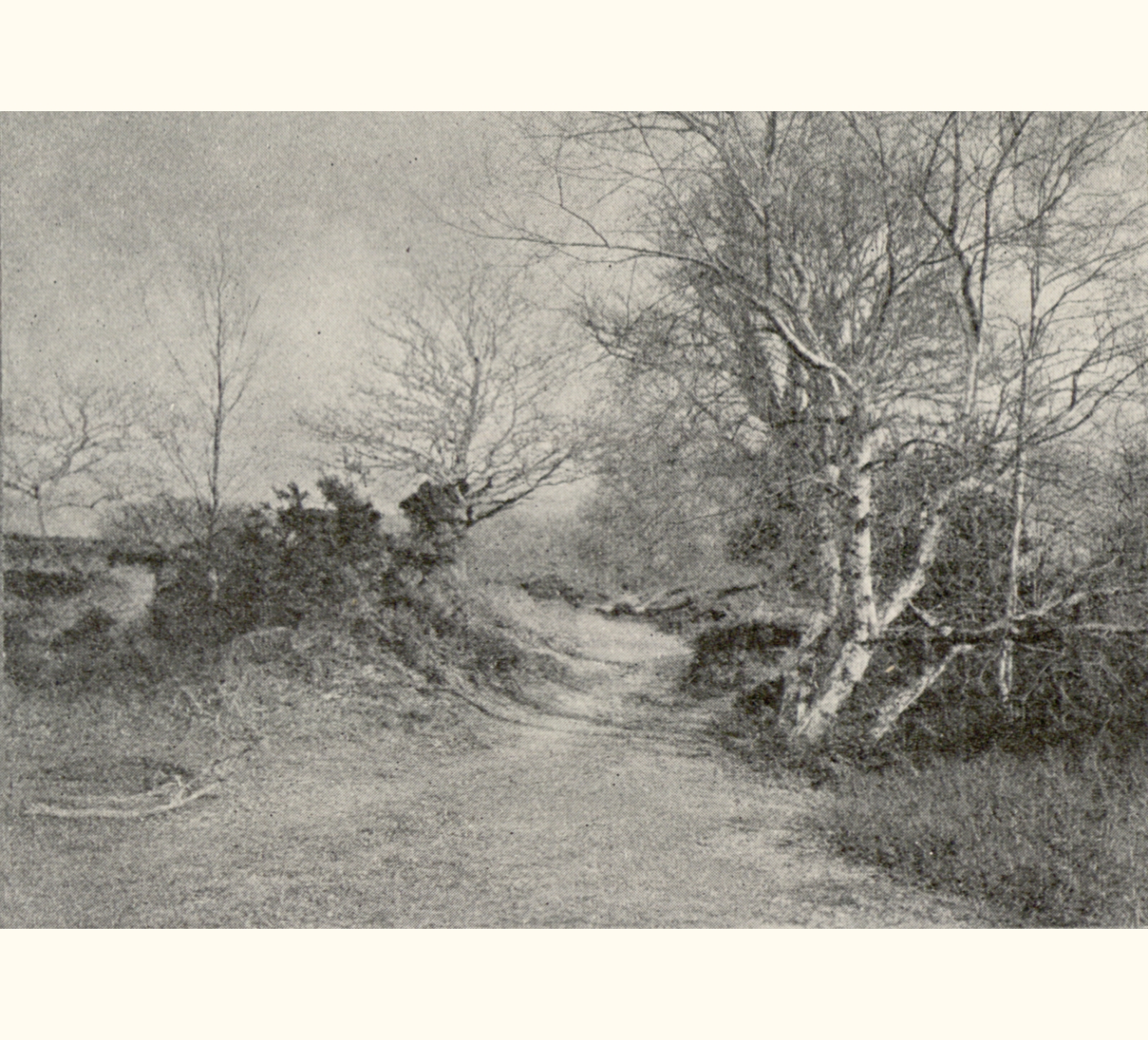 1902 Forty-seventh Annual Exhibition of the Royal Photographic Society of Great Britain