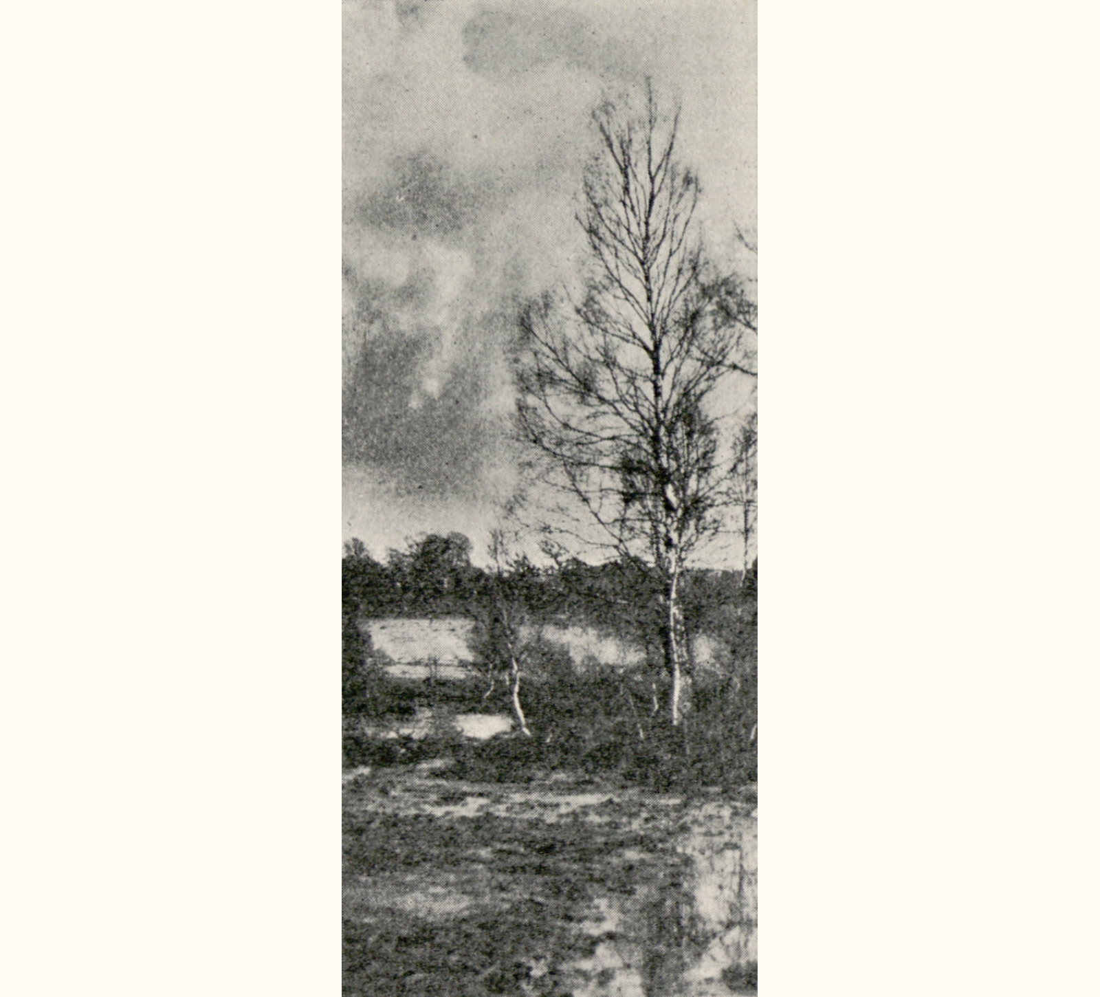 1902 Forty-seventh Annual Exhibition of the Royal Photographic Society of Great Britain