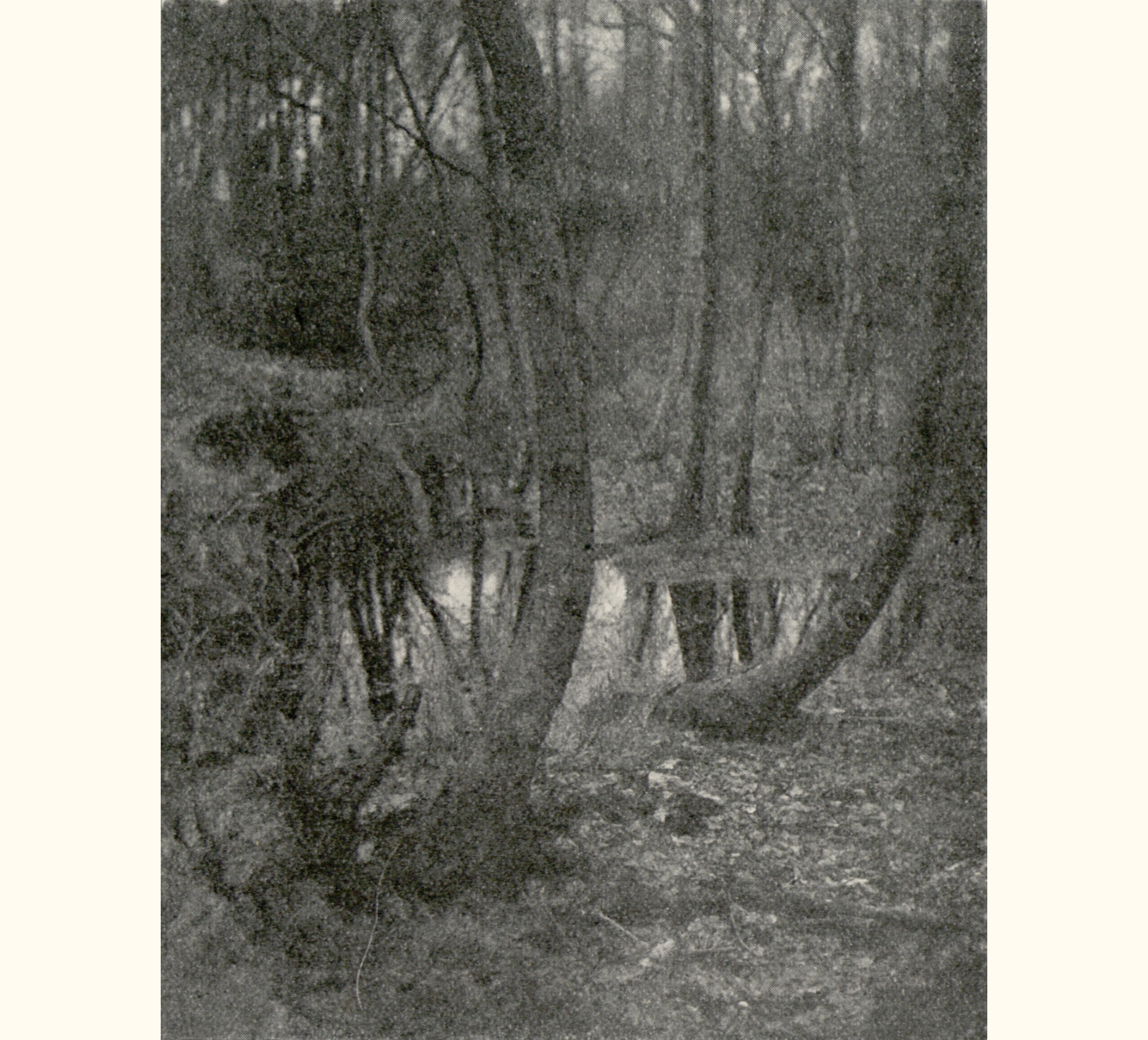 1902 Forty-seventh Annual Exhibition of the Royal Photographic Society of Great Britain
