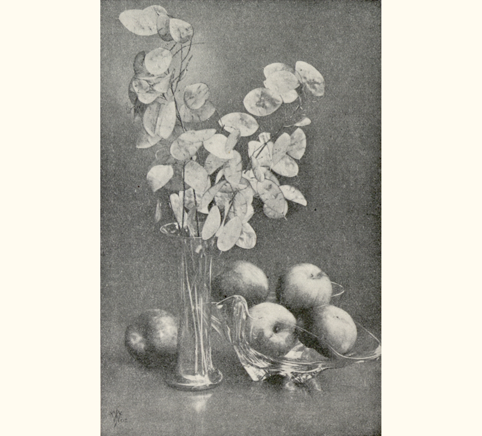 1902 Forty-seventh Annual Exhibition of the Royal Photographic Society of Great Britain