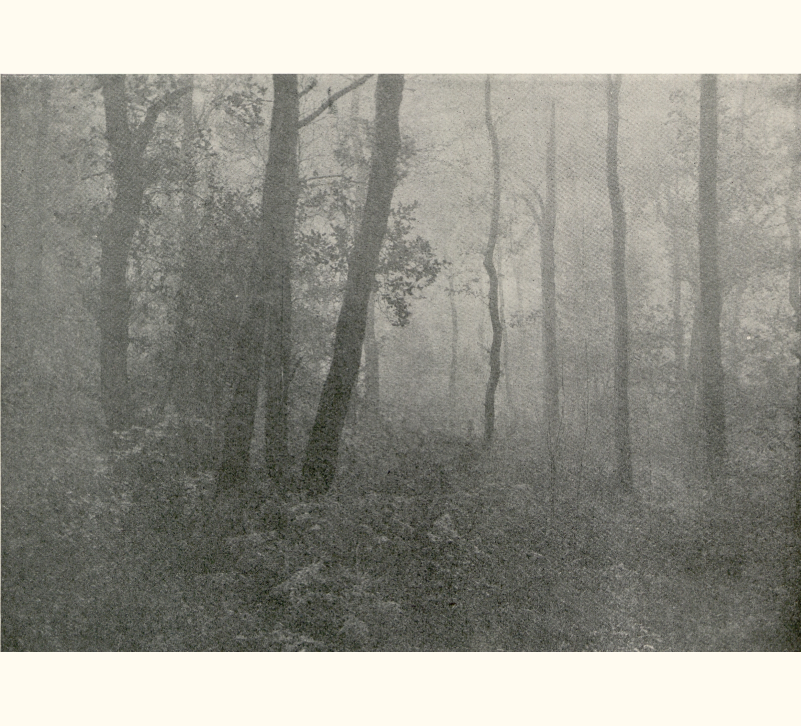 1902 Forty-seventh Annual Exhibition of the Royal Photographic Society of Great Britain
