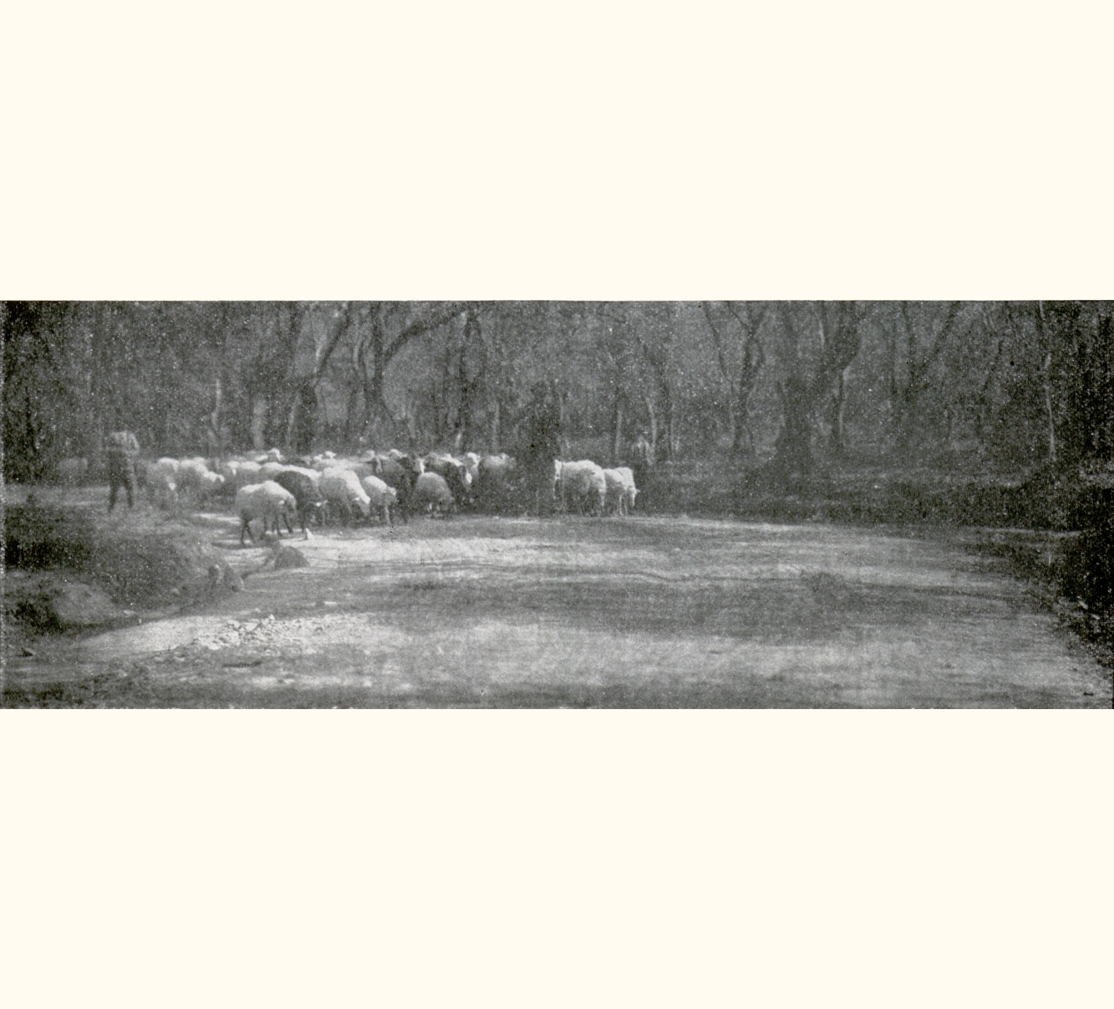 1903 Forty-eighth Annual Exhibition of the Royal Photographic Society of Great Britain
