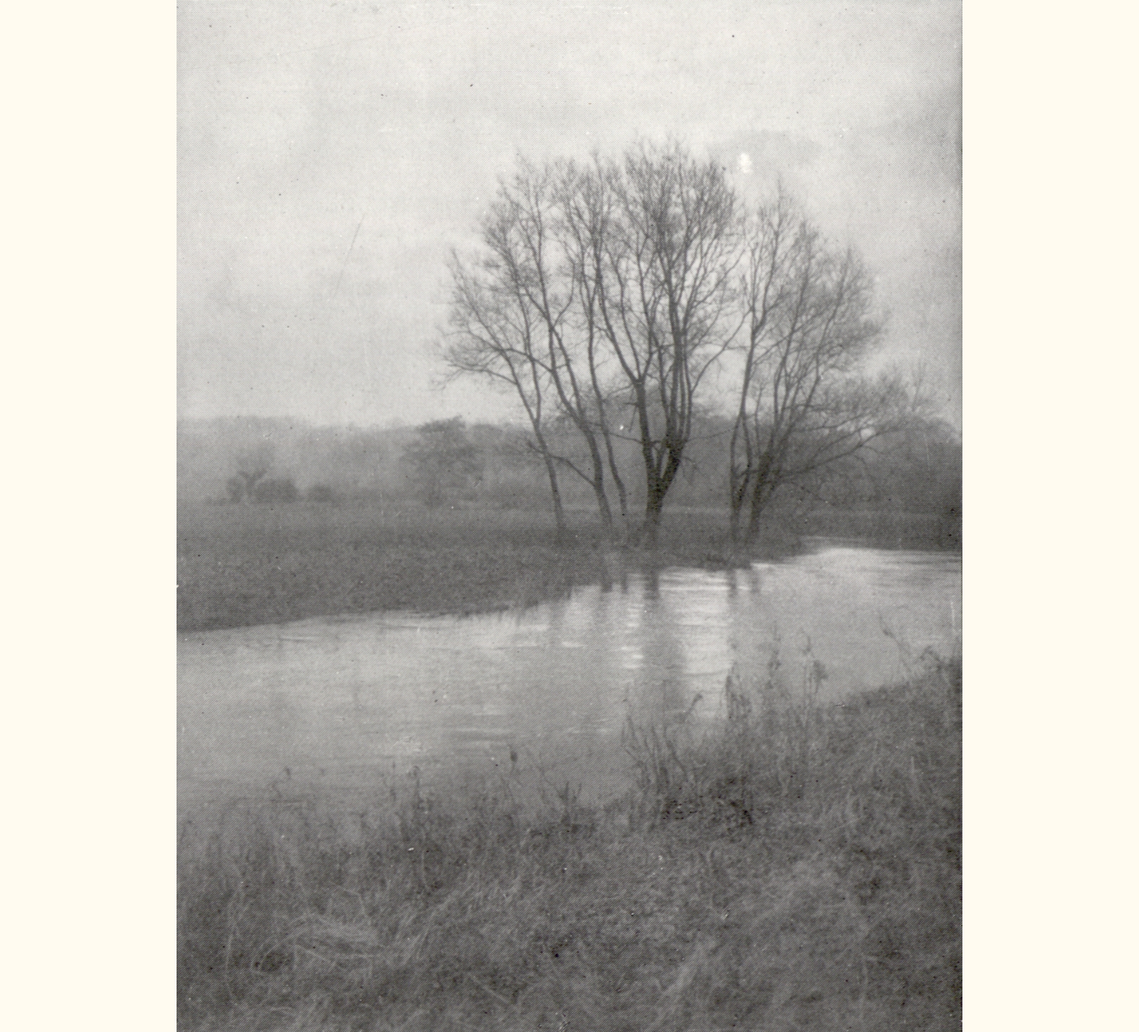 1904 Forty-ninth Annual Exhibition of the Royal Photographic Society of Great Britain