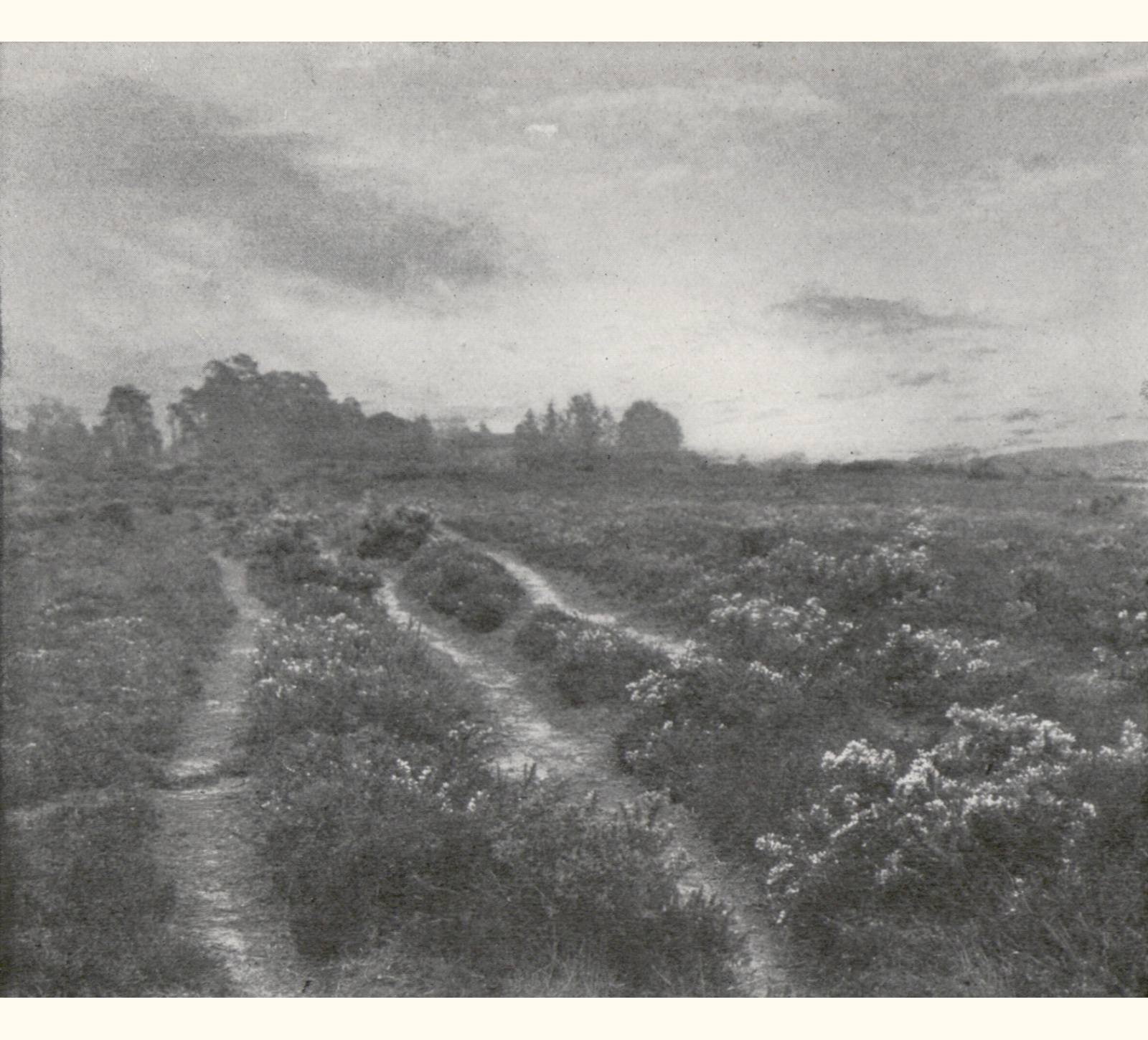 1905 Fiftieth Annual Exhibition of the Royal Photographic Society of Great Britain