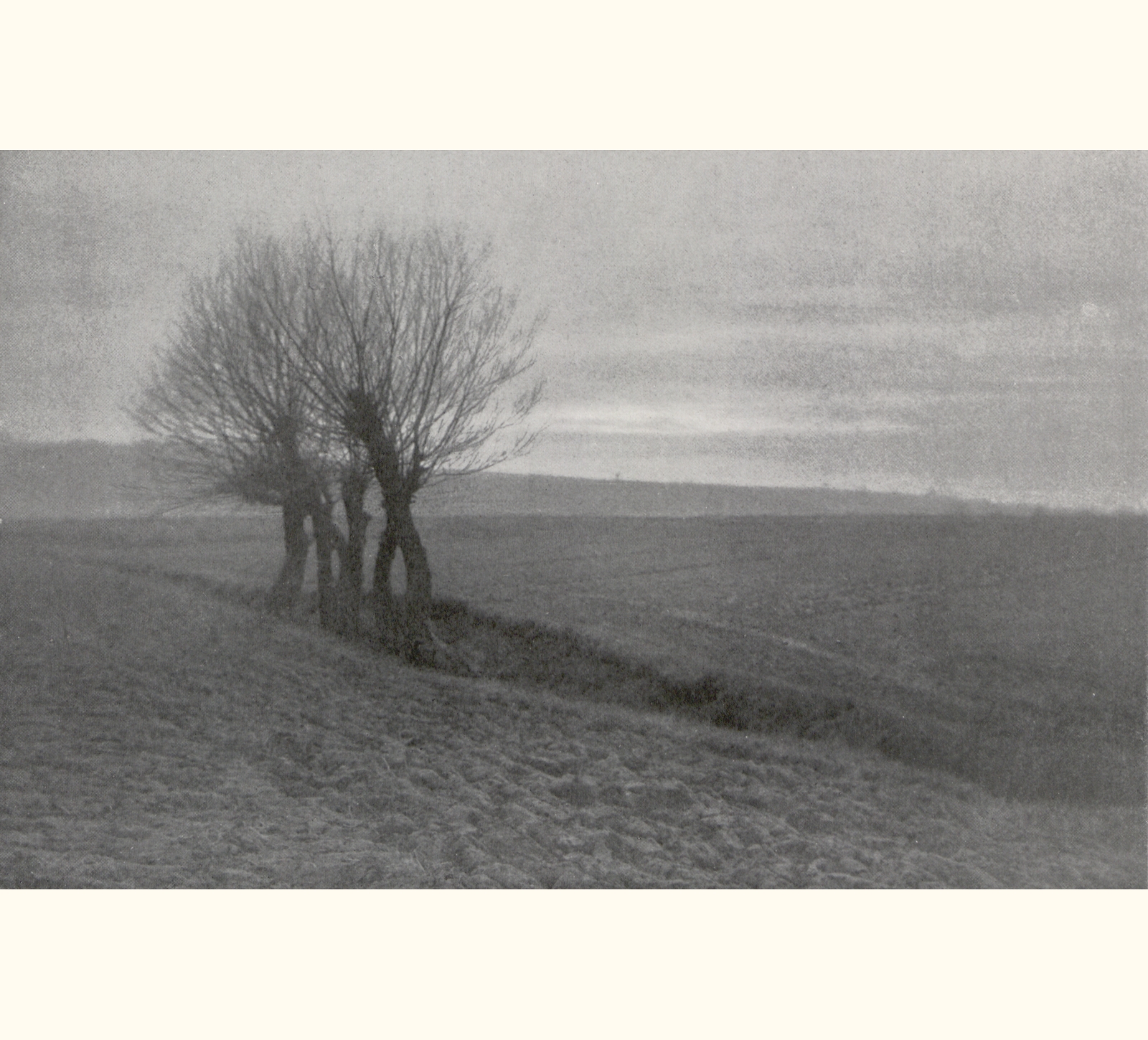 1905 Fiftieth Annual Exhibition of the Royal Photographic Society of Great Britain