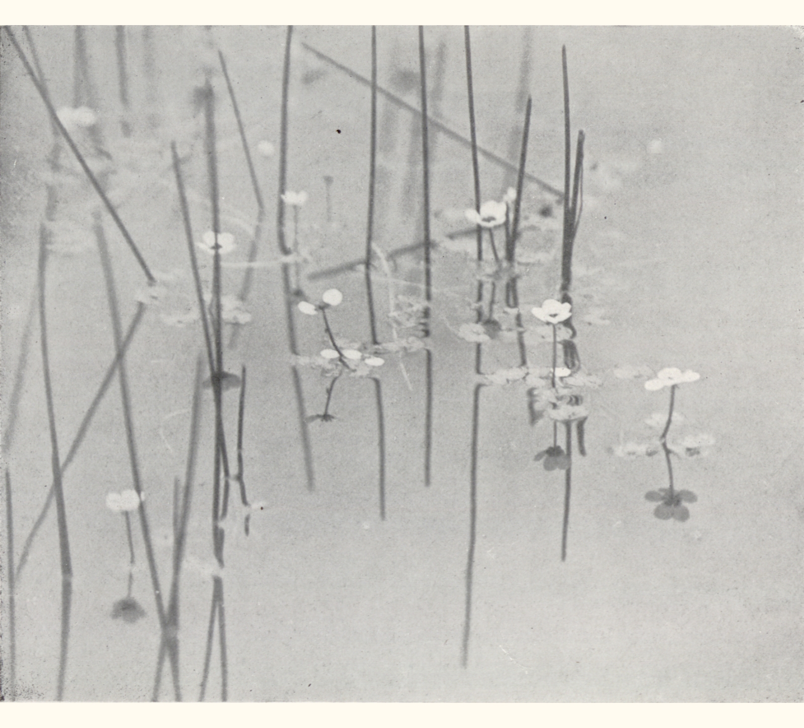 1905 Fiftieth Annual Exhibition of the Royal Photographic Society of Great Britain