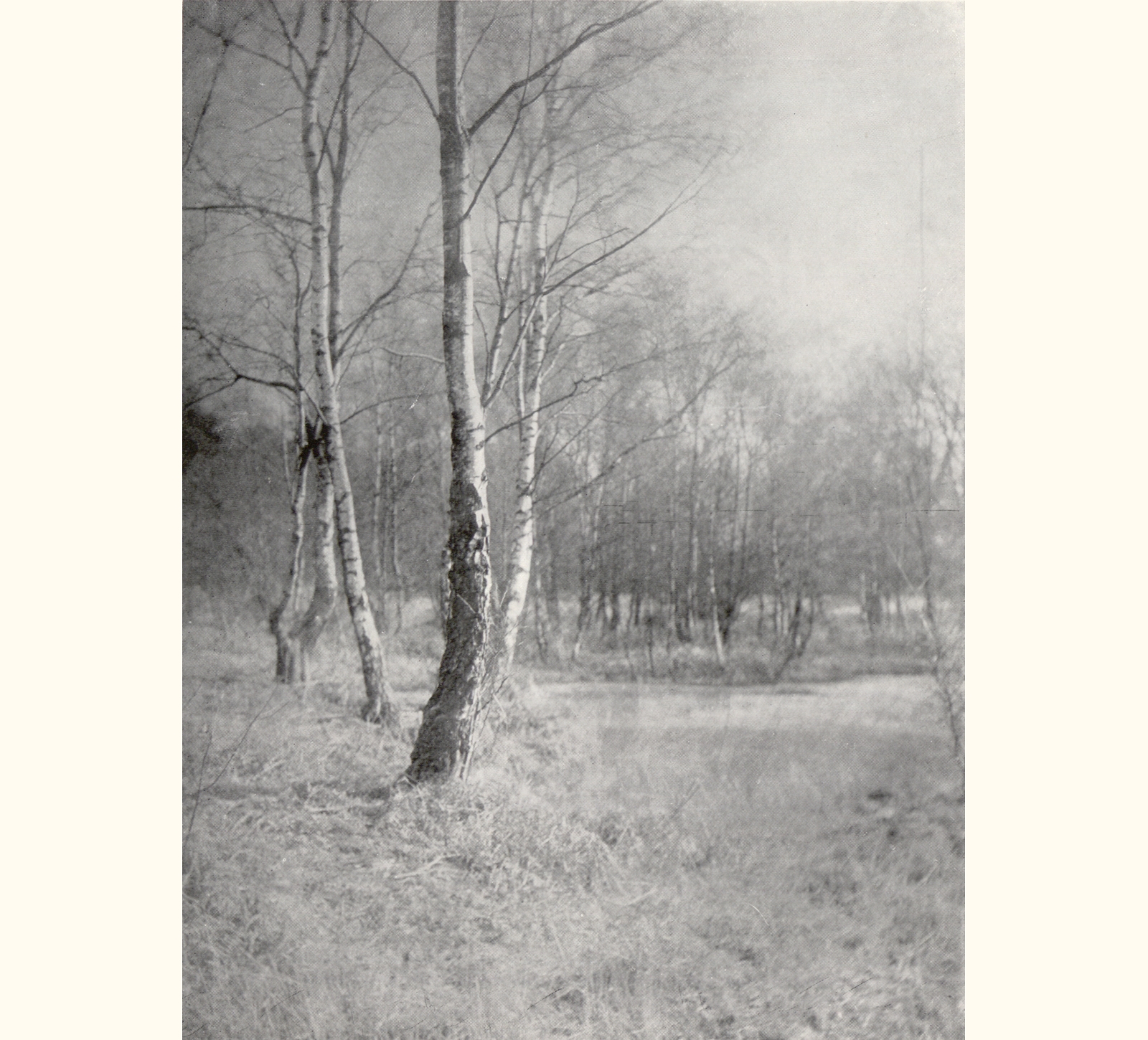 1905 Fiftieth Annual Exhibition of the Royal Photographic Society of Great Britain