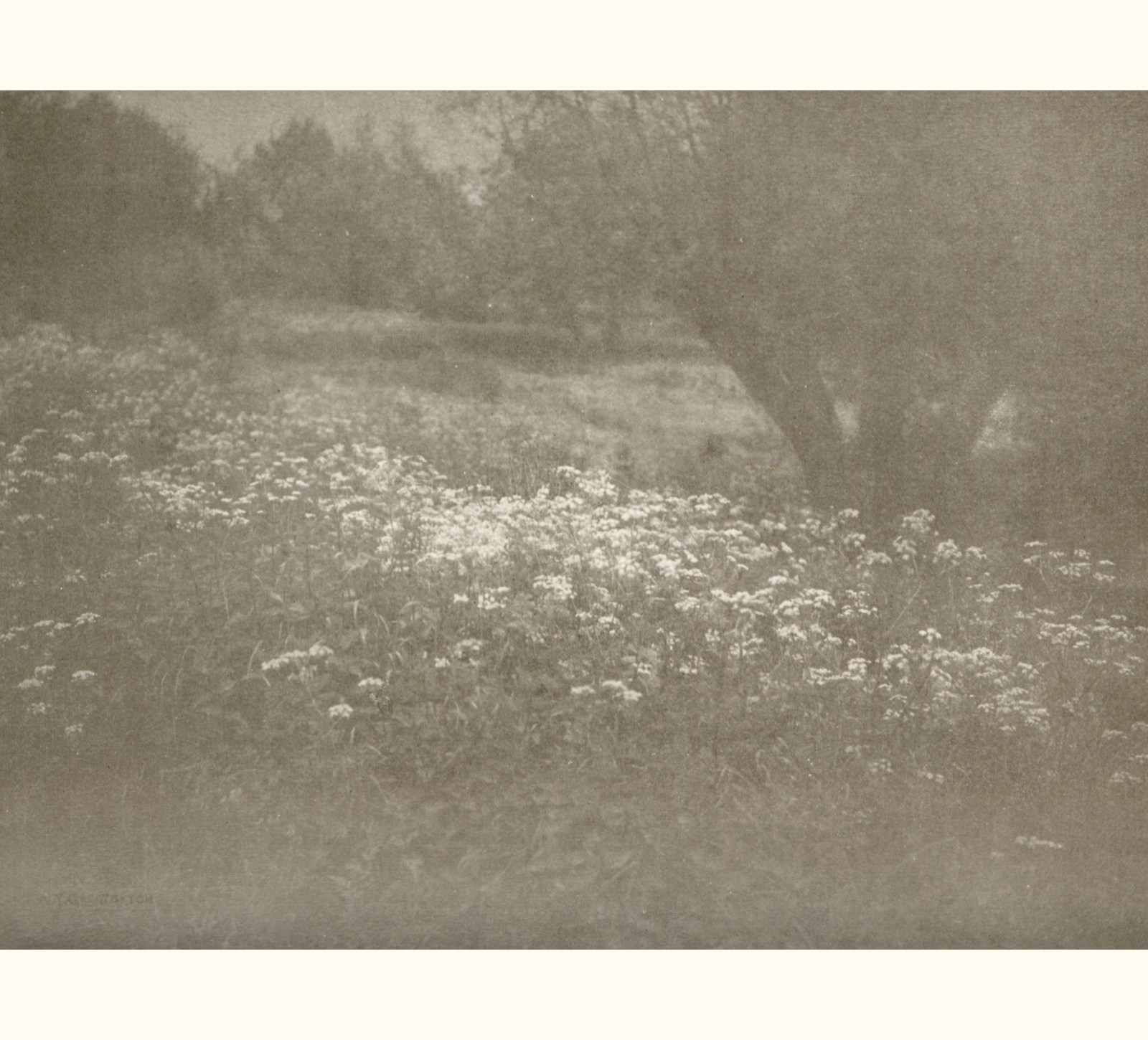 1906 Fifty-first Annual Exhibition of the Royal Photographic Society of Great Britain