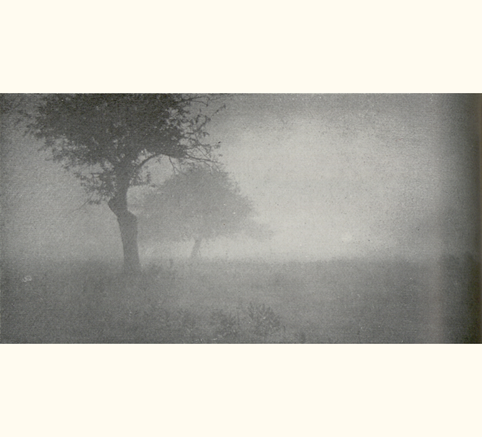 1906 Fifty-first Annual Exhibition of the Royal Photographic Society of Great Britain