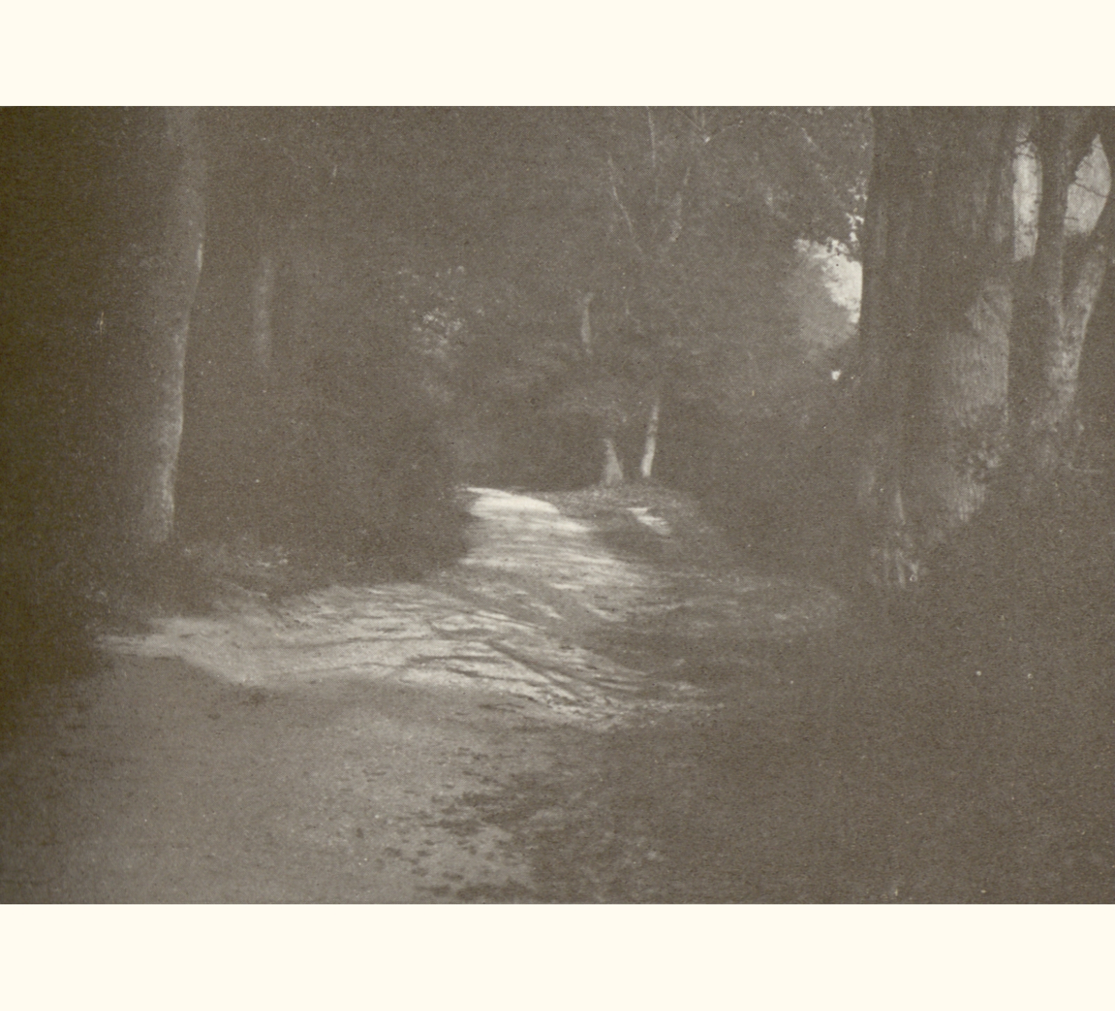 1907 Fifty-second Annual Exhibition of the Royal Photographic Society of Great Britain