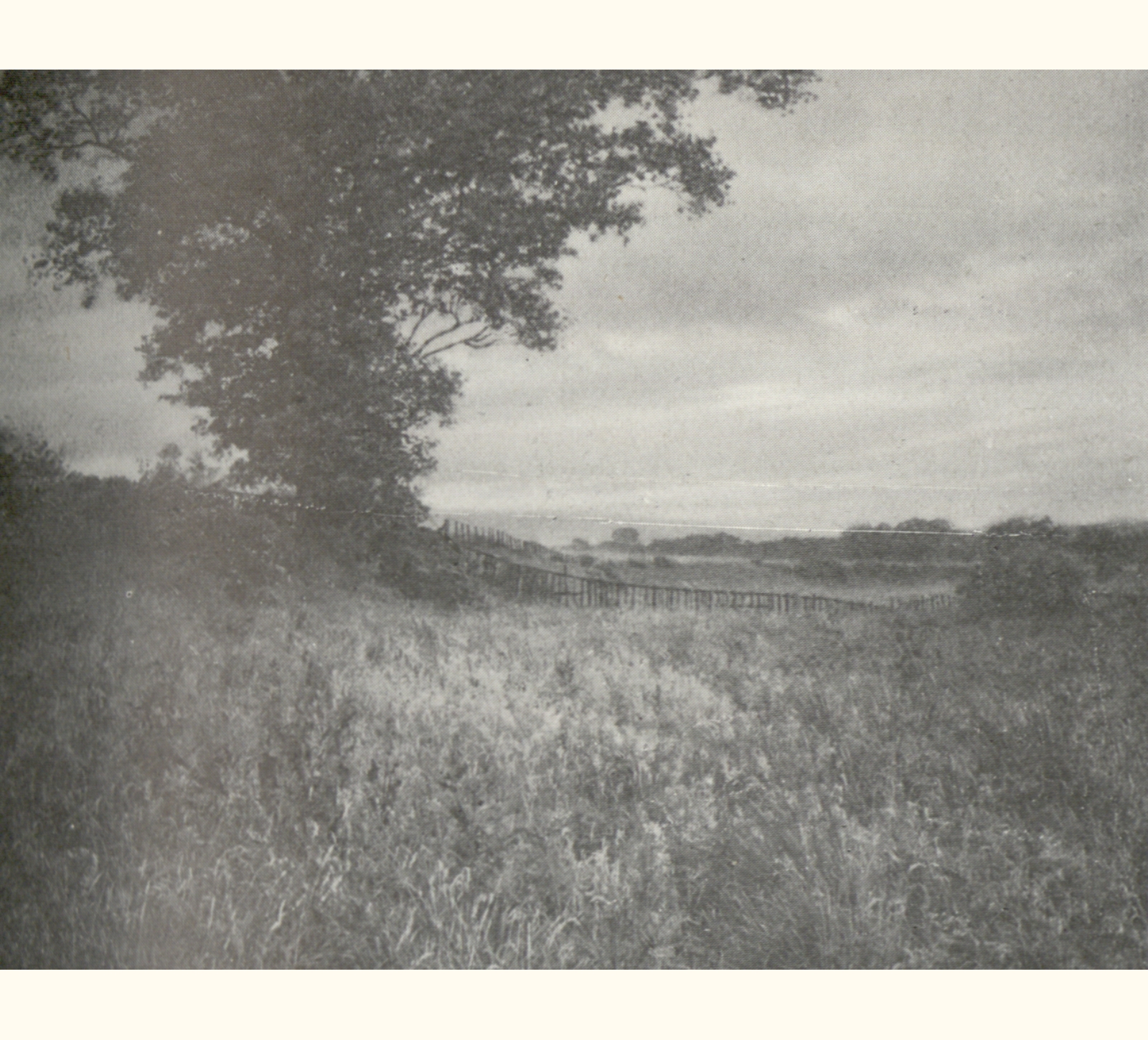 1907 Fifty-second Annual Exhibition of the Royal Photographic Society of Great Britain