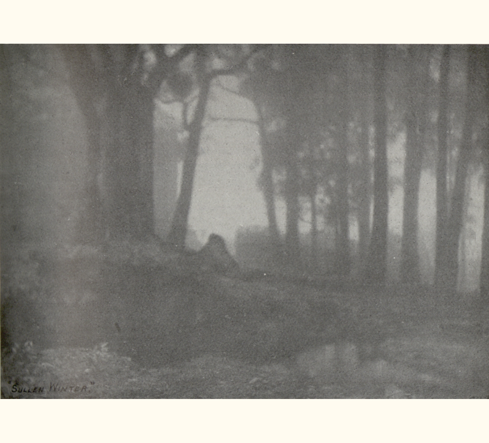 1908 Fifty-third Annual Exhibition of the Royal Photographic Society of Great Britain